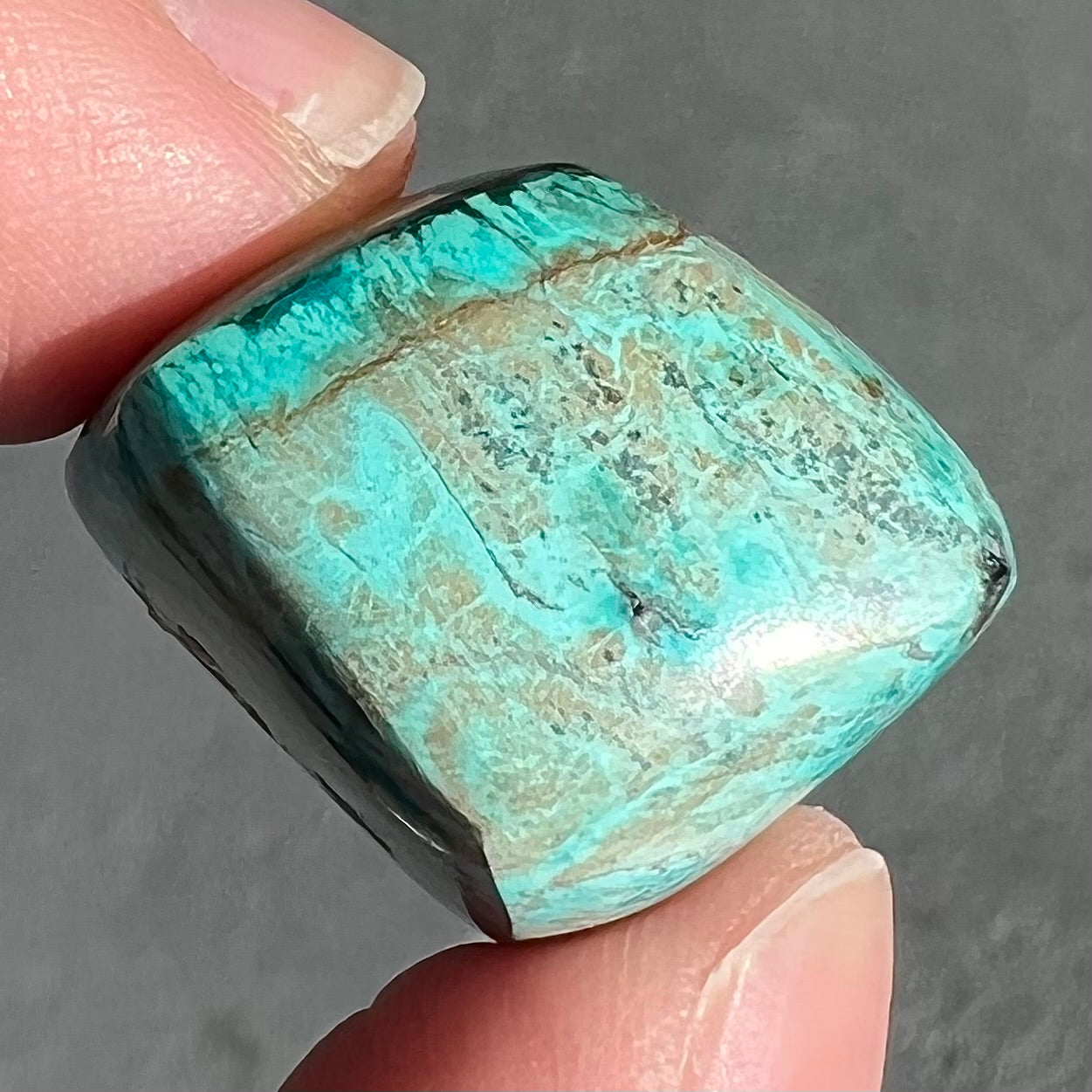A loose, polished turquoise specimen with azurite inclusions.