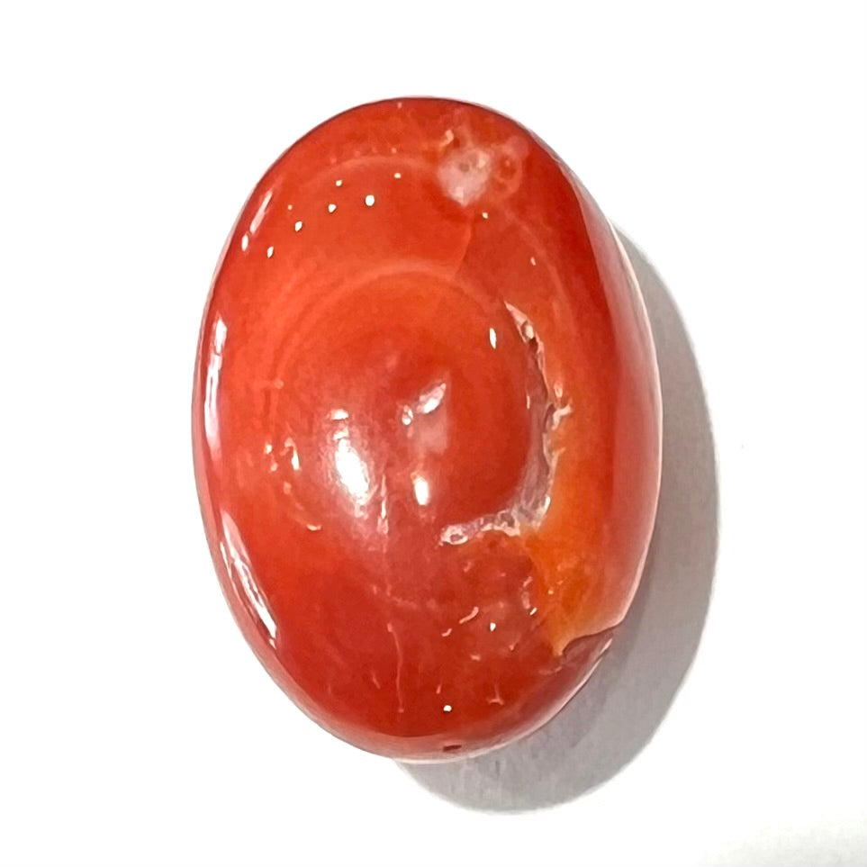A large, loose red coral cabochon that measures 1 inch by 0.7 inches.