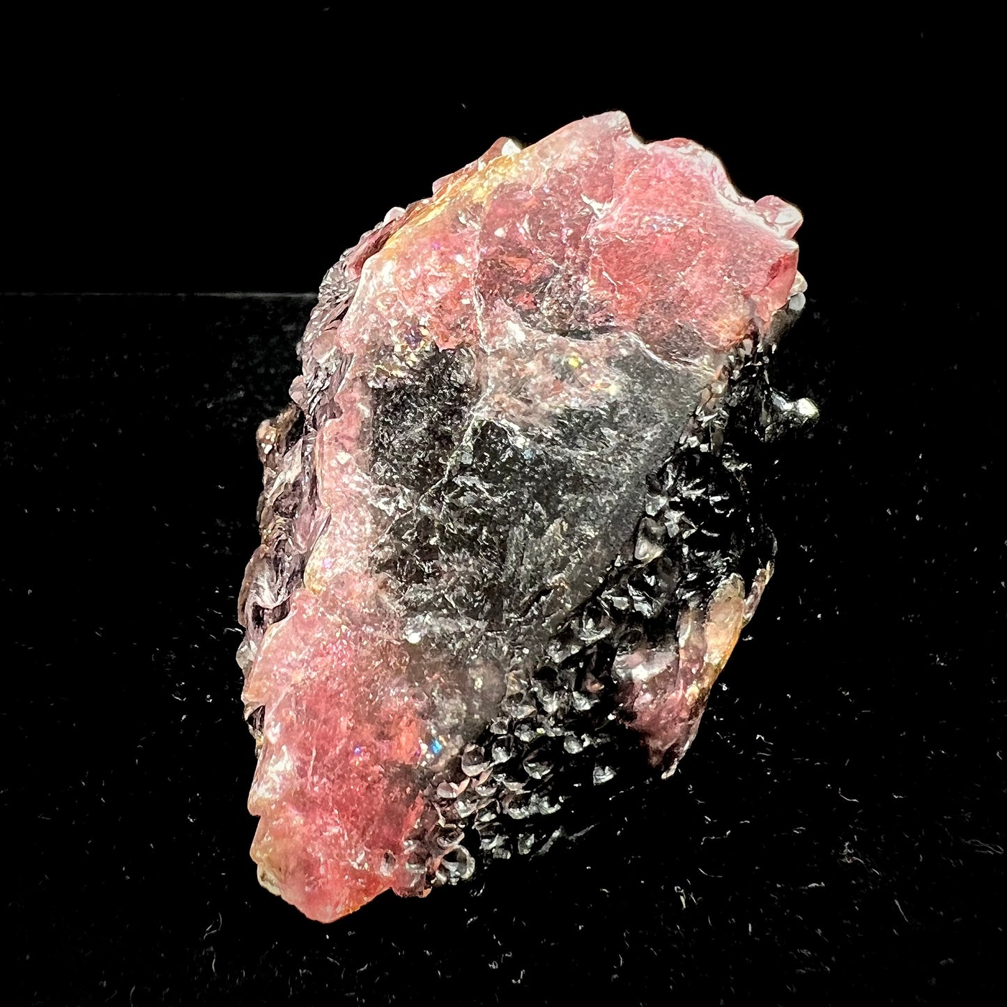 A stone lizard carved by artist, Ronald Stevens, from a liddicoatite tourmaline crystal.