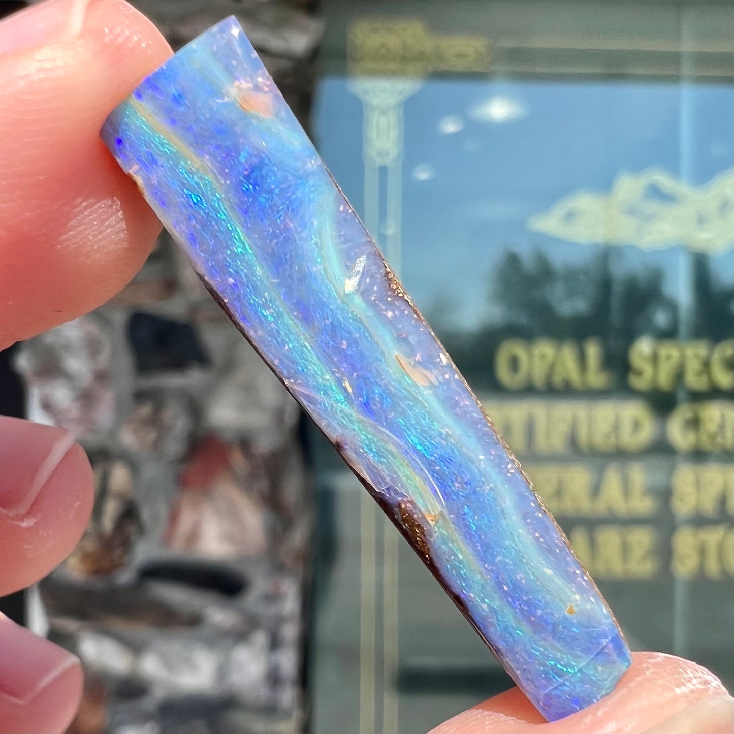 A loose, polished, wedge shaped boulder opal stone from Queensland, Australia.