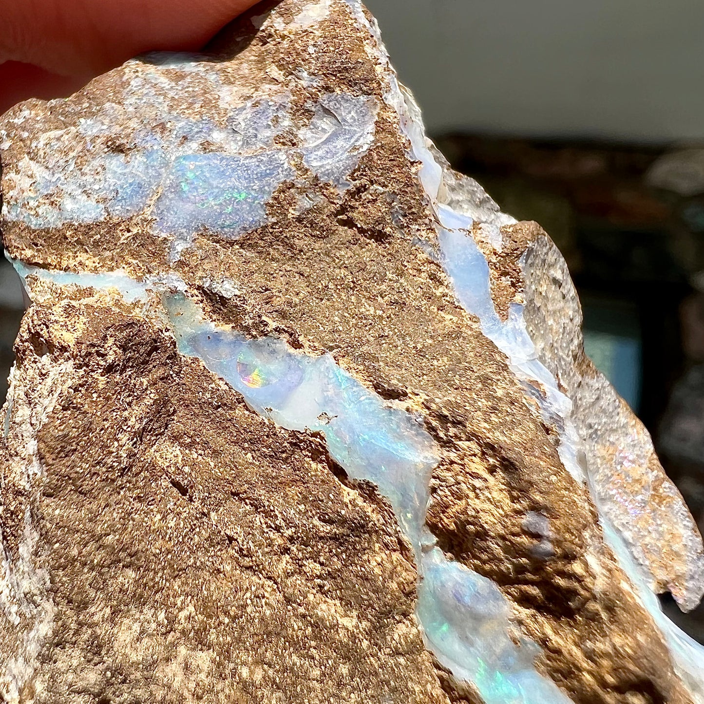 A rough boulder opal stone from Queensland, Australia.