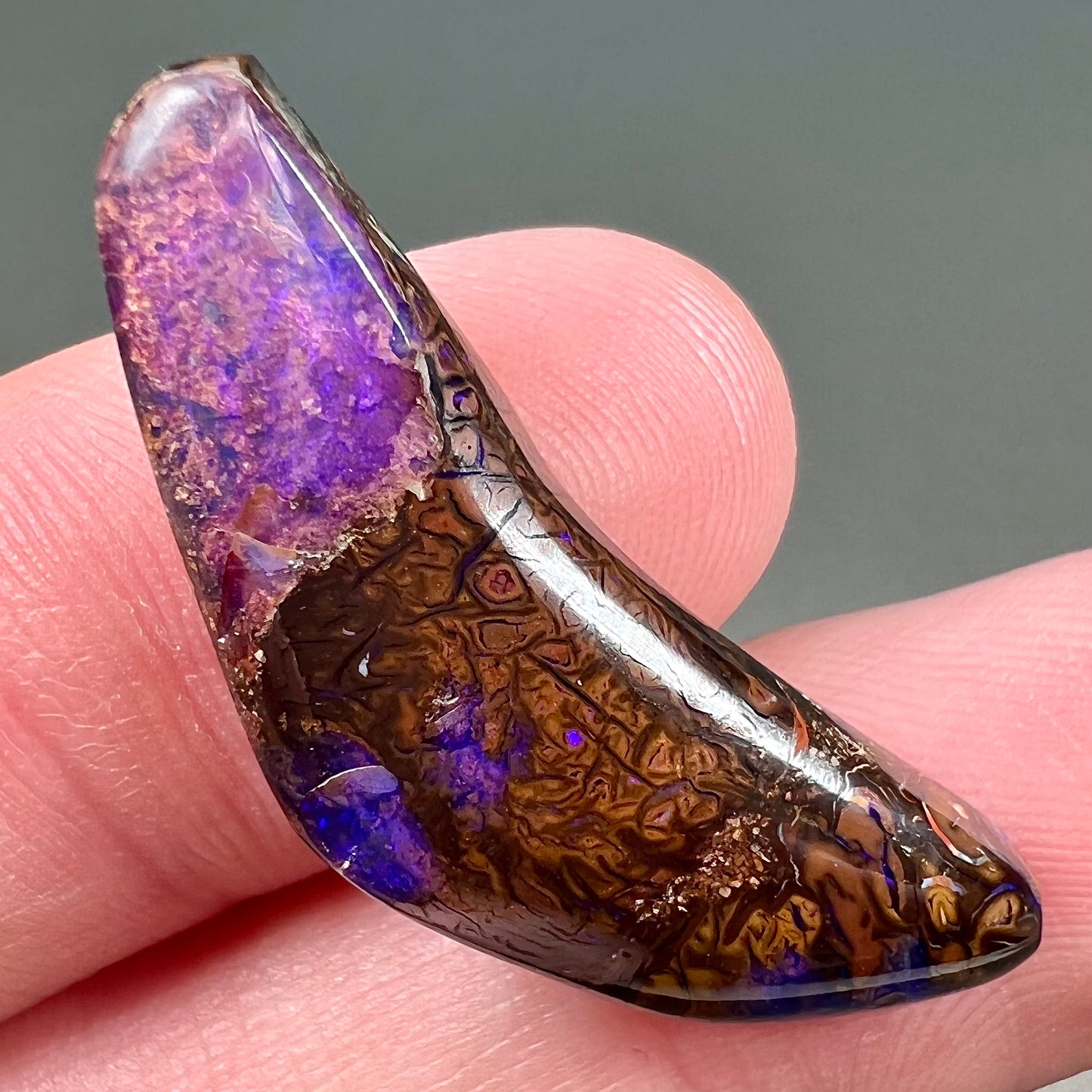 A loose boomerang shaped purple boulder opal stone from Quilpie, Australia.