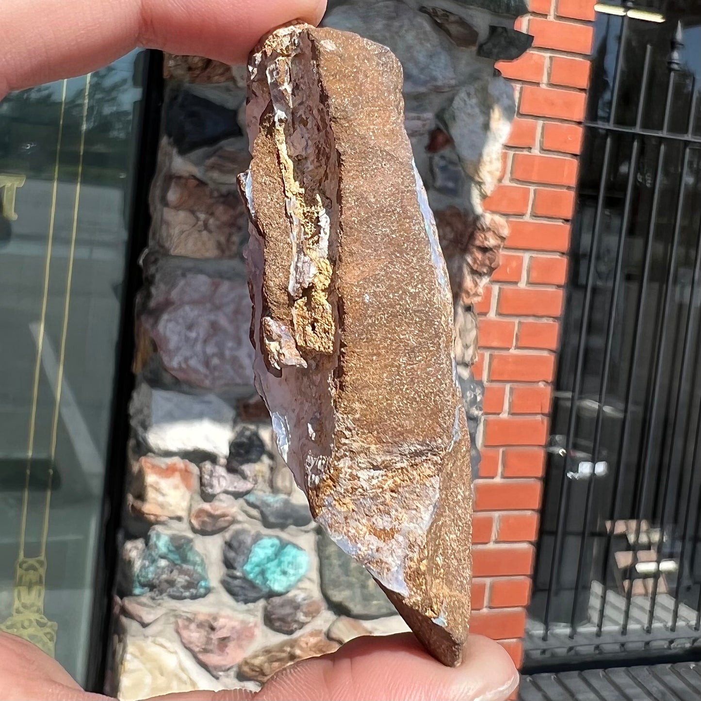 A rough boulder opal stone from Queensland, Australia.