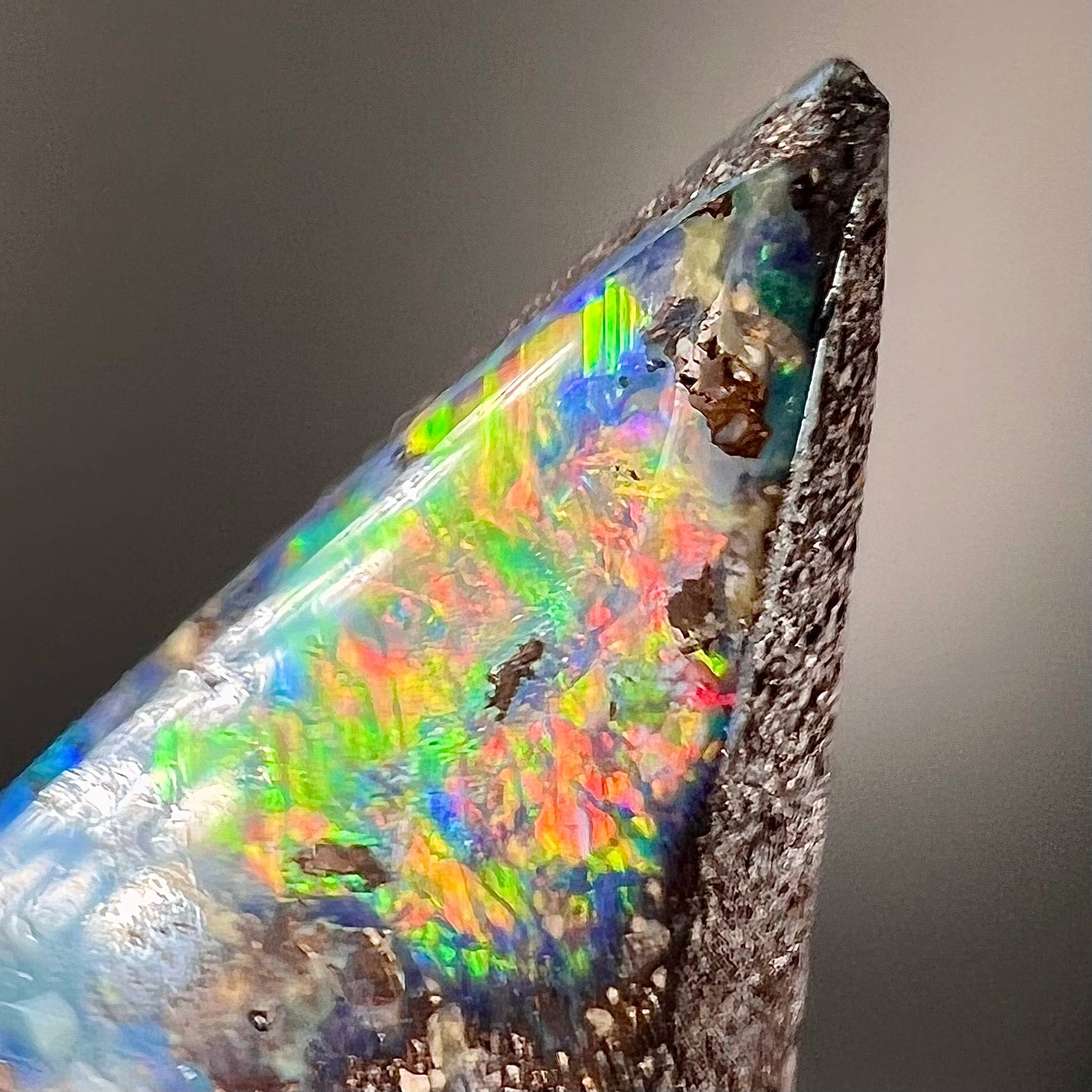 A loose Quilpie boulder opal stone. The stone is blue and has a bright rainbow tip.