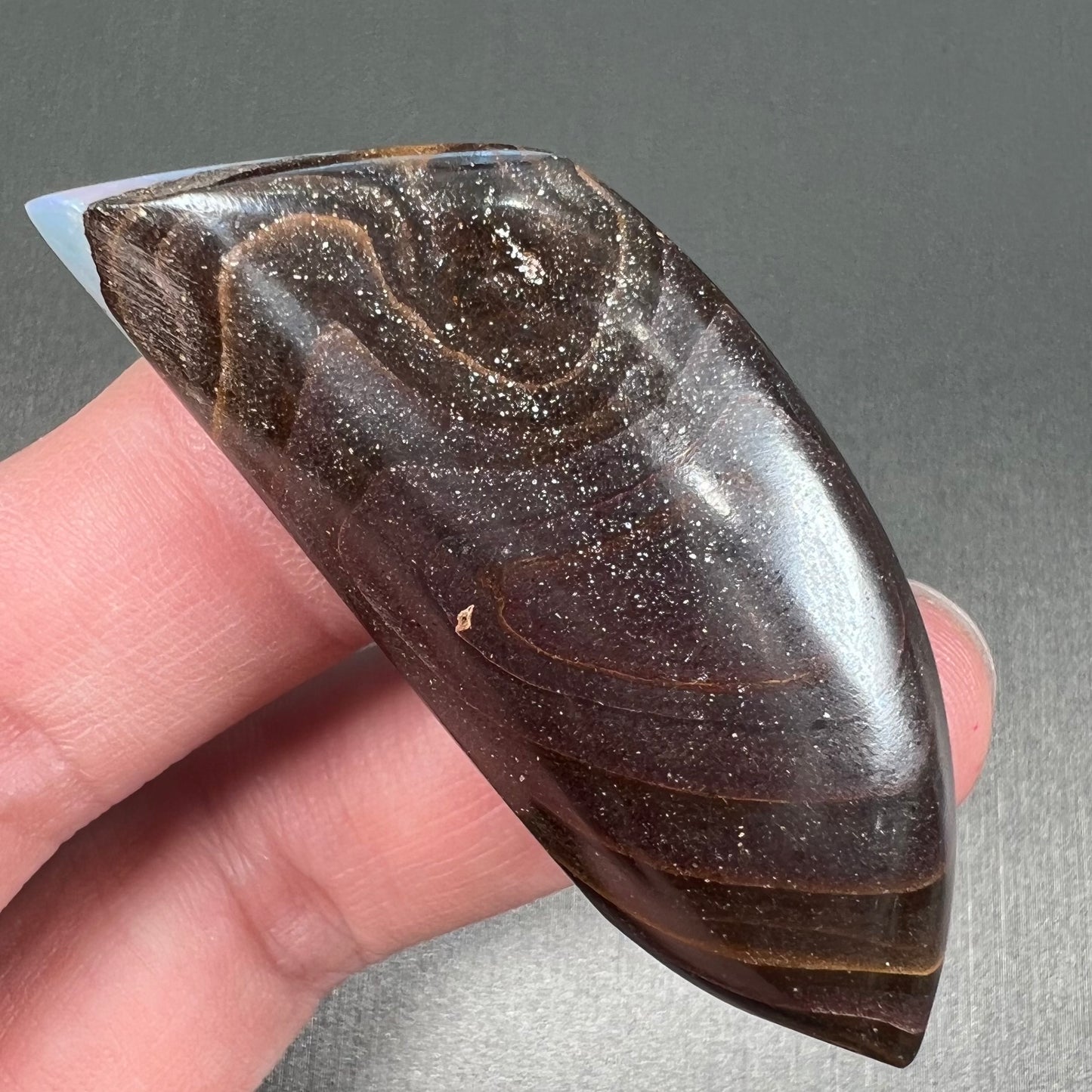 A loose, polished blue boulder opal stone from Queensland, Australia.