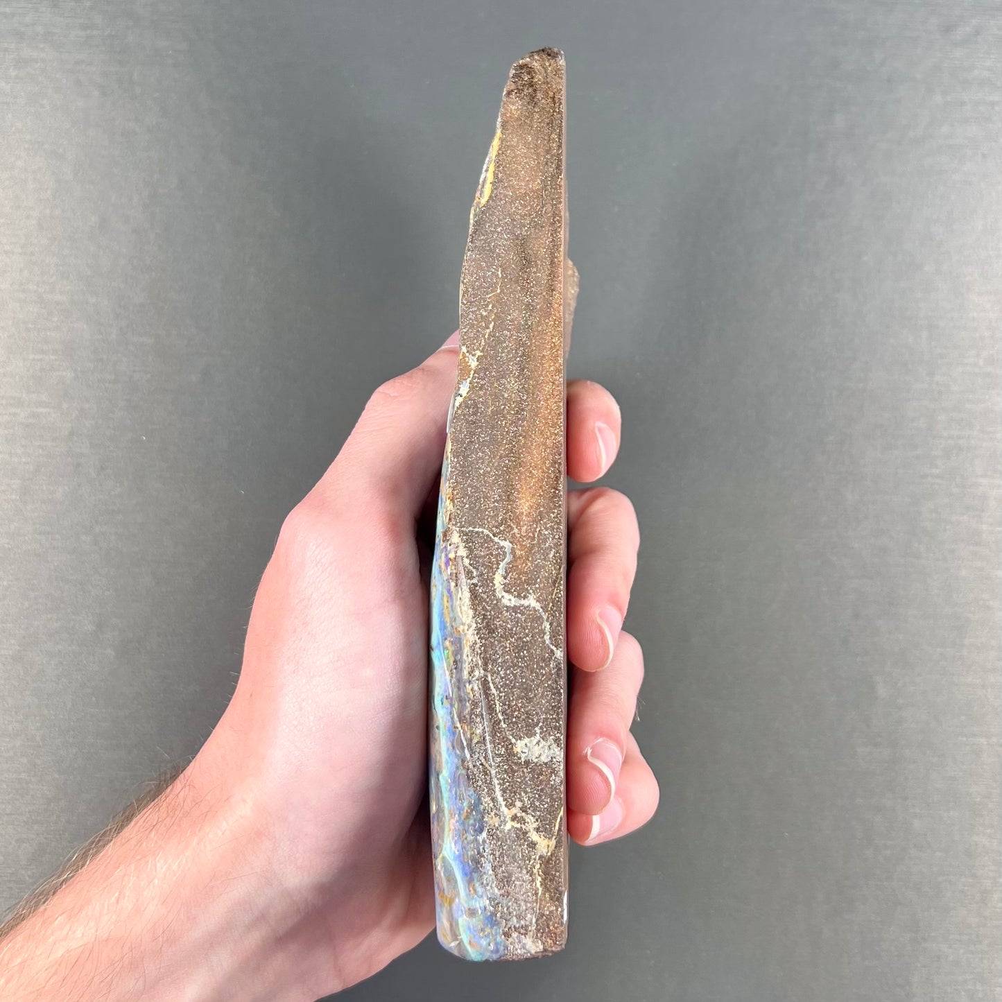 A 7 inch long, polished Quilpie boulder opal specimen. The stone shows colors of blue, green, and orange.