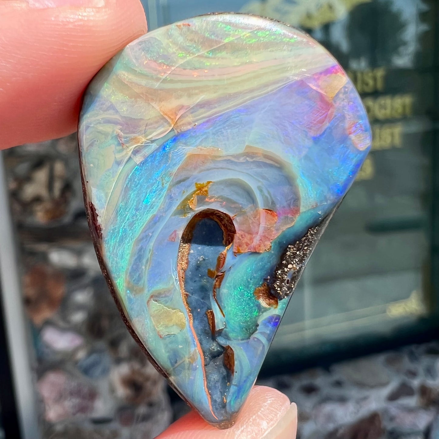 A polished pear shaped boulder opal stone from Quilpie, Australia. Predominant colors are blue, green, and aqua.