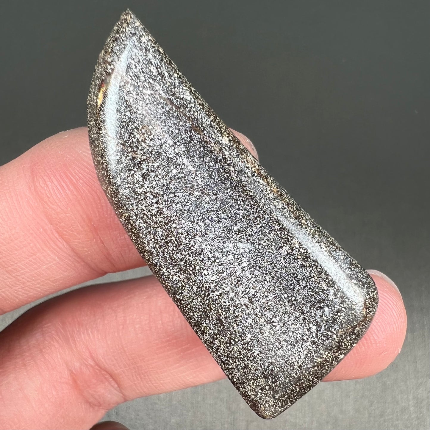 A loose, freeform cut, natural boulder opal stone from Quilpie, Australia.