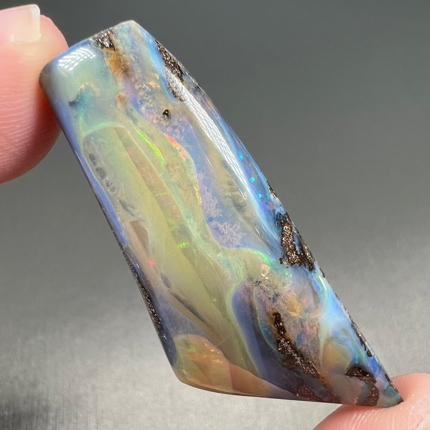 A freeform shaped, polished boulder opal stone from Queensland, Australia. The stone has red, orange, green, and blue fire.
