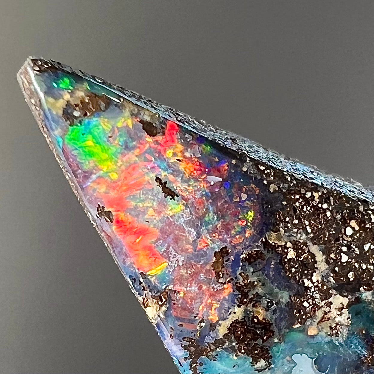 A loose Quilpie boulder opal stone. The stone is blue and has a bright rainbow tip.