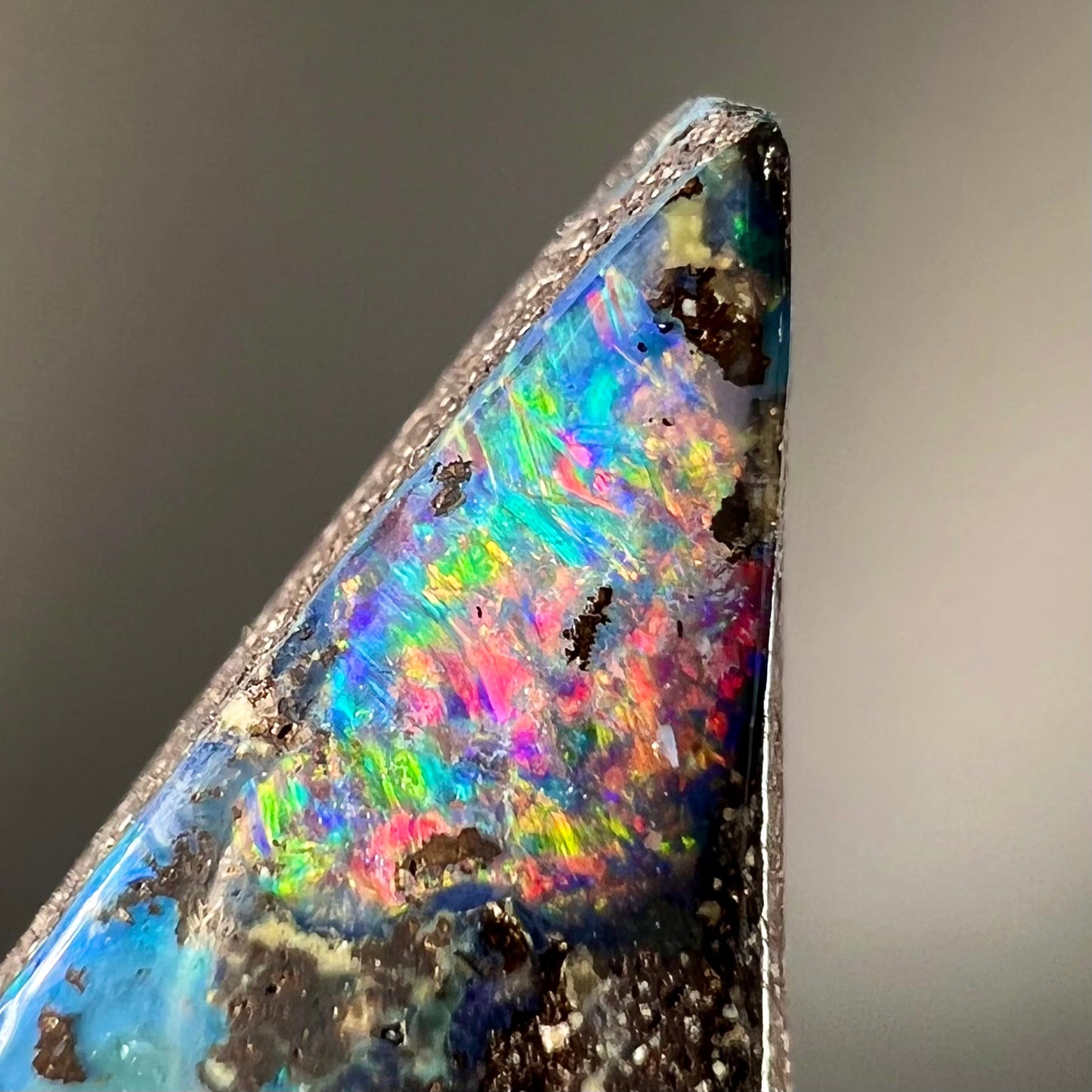 A loose Quilpie boulder opal stone. The stone is blue and has a bright rainbow tip.