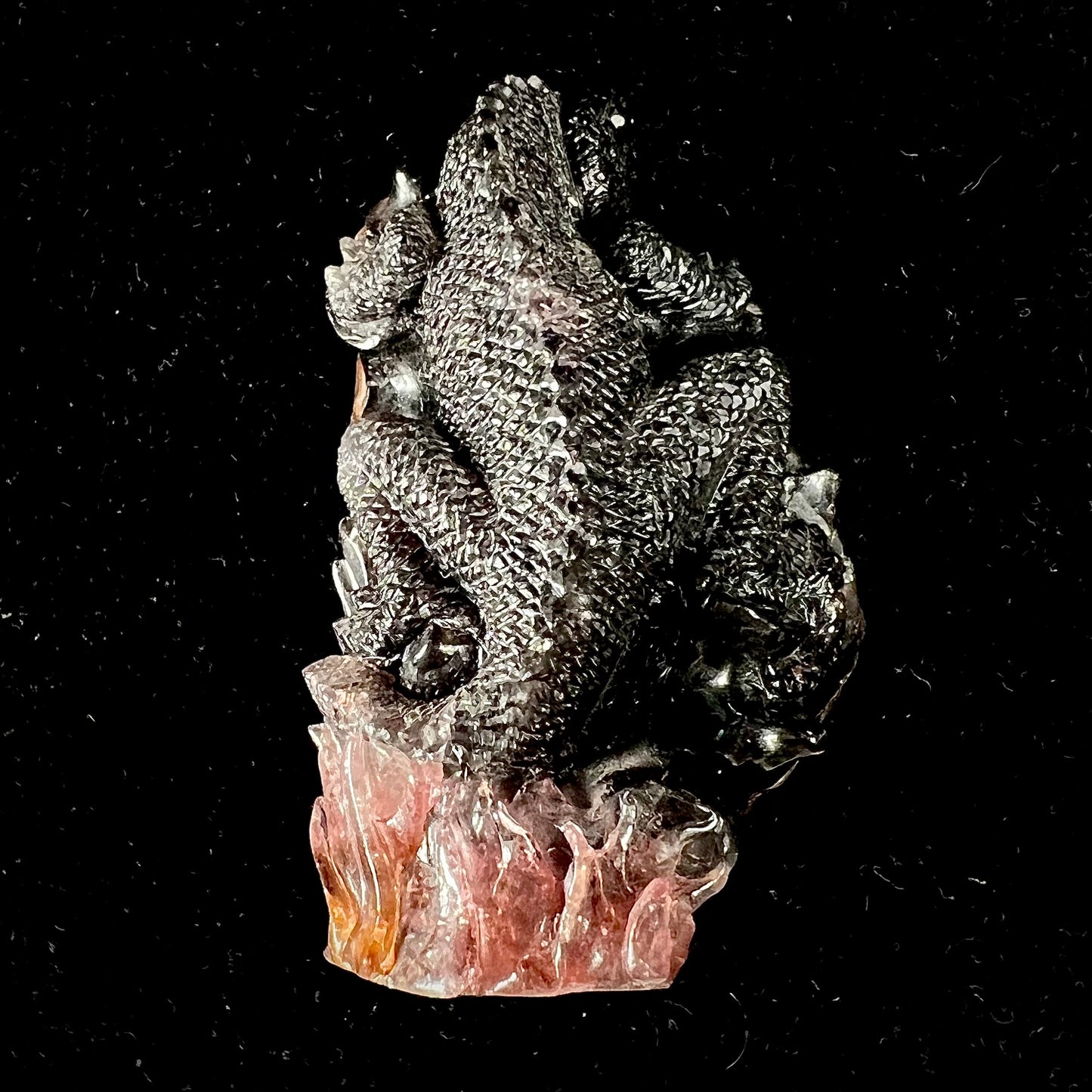 A stone lizard carved by artist, Ronald Stevens, from a liddicoatite tourmaline crystal.