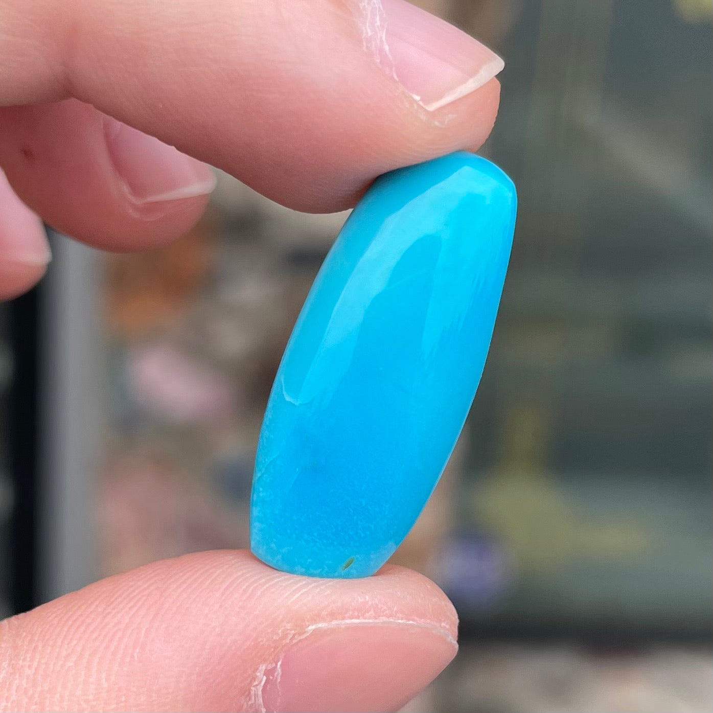 Turquoise #220 | Sleeping Beauty
