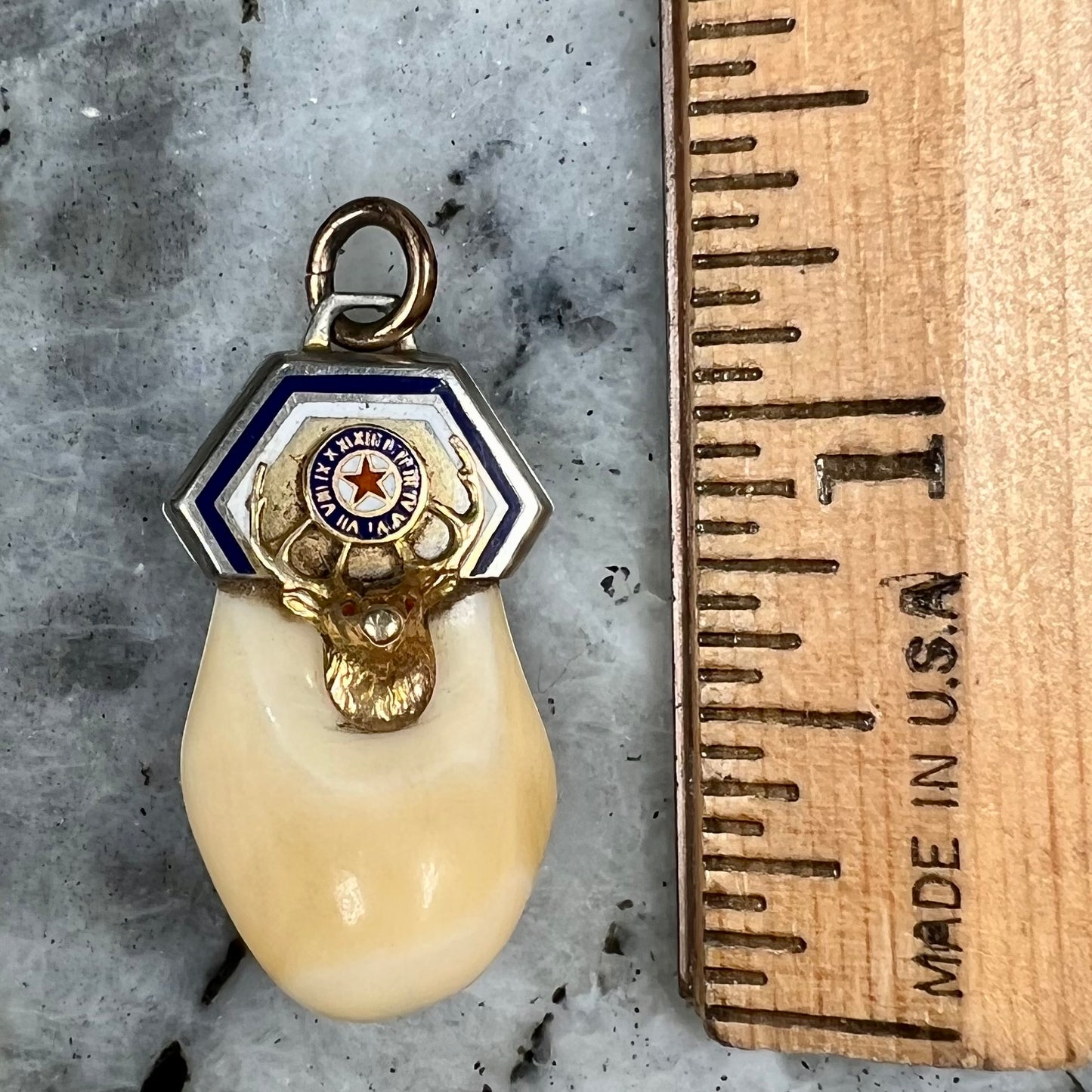 An elk tooth that has been fashioned into a blue enameled gold pendant. There is a decorative elk head cast in yellow gold set on the piece.