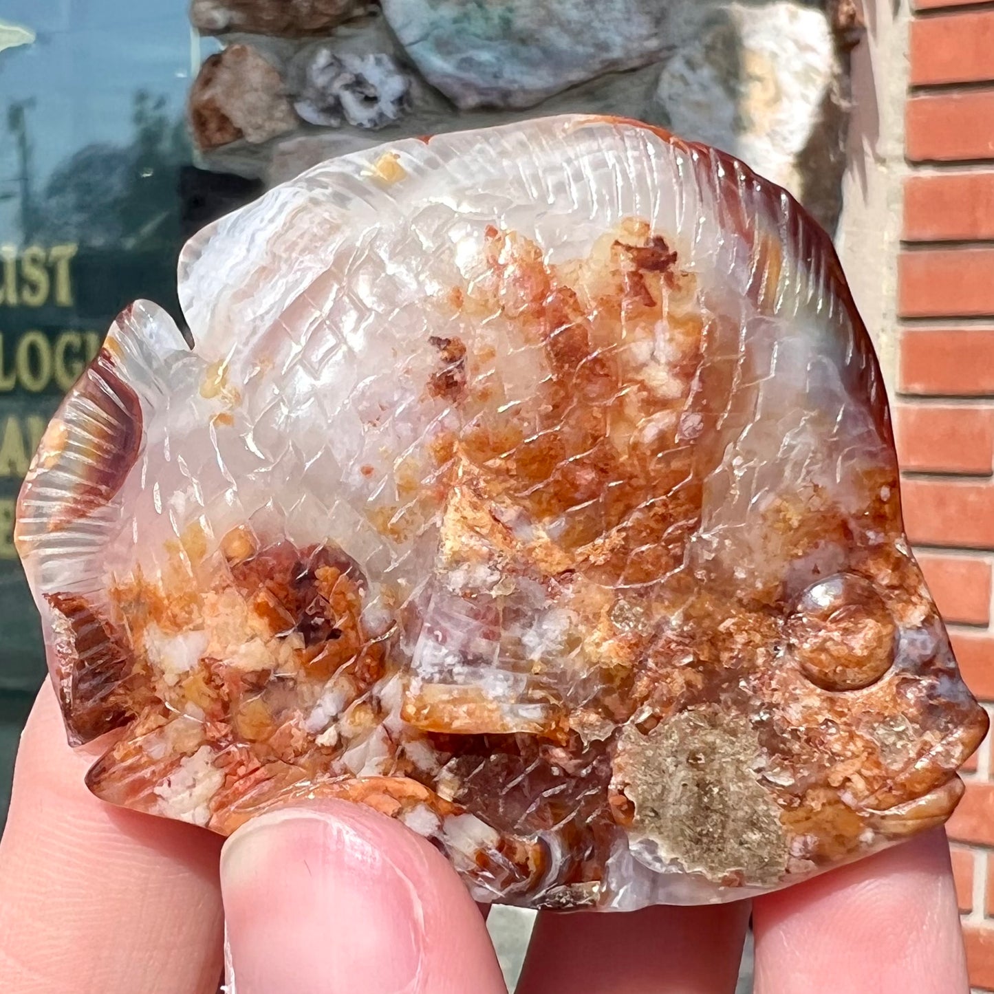 A stone fish carved from Northern Mexican fire agate. The material is brown and white.