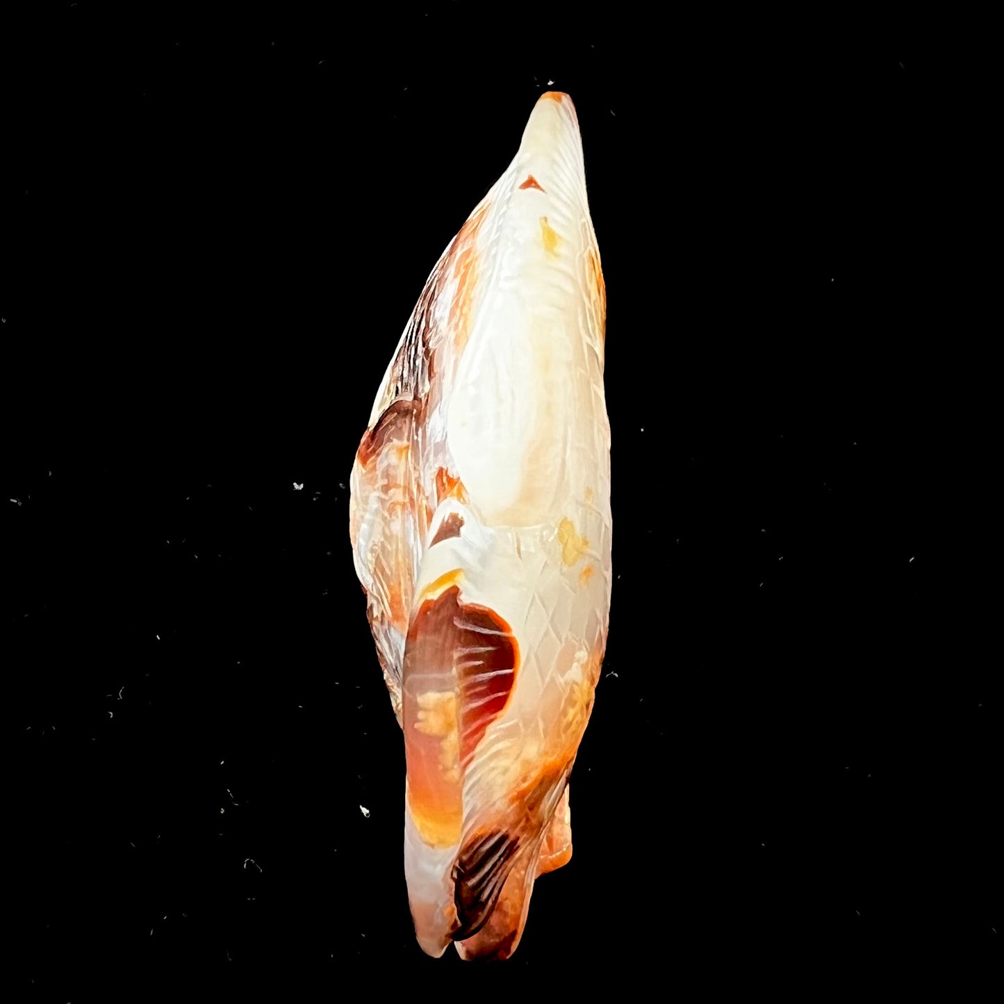 A stone fish carved from Northern Mexican fire agate. The material is brown and white.
