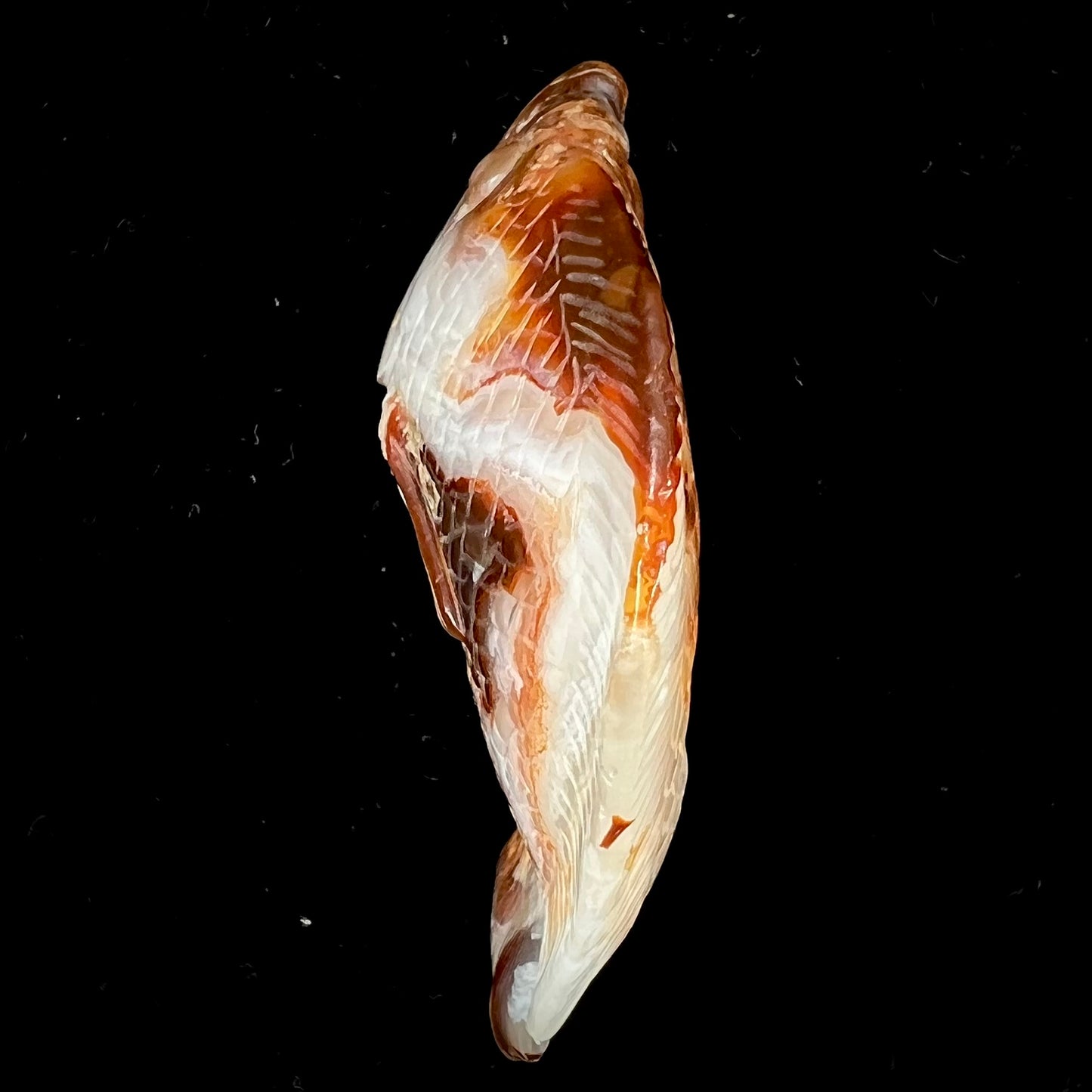 A stone fish carved from Northern Mexican fire agate. The material is brown and white.