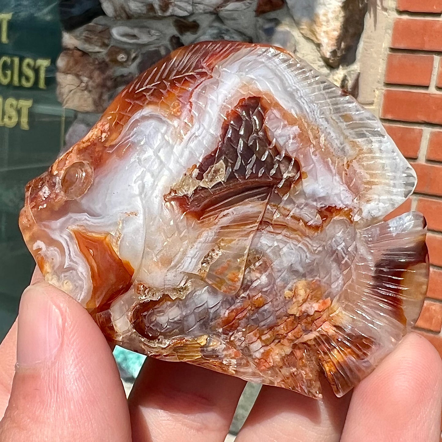 A stone fish carved from Northern Mexican fire agate. The material is brown and white.