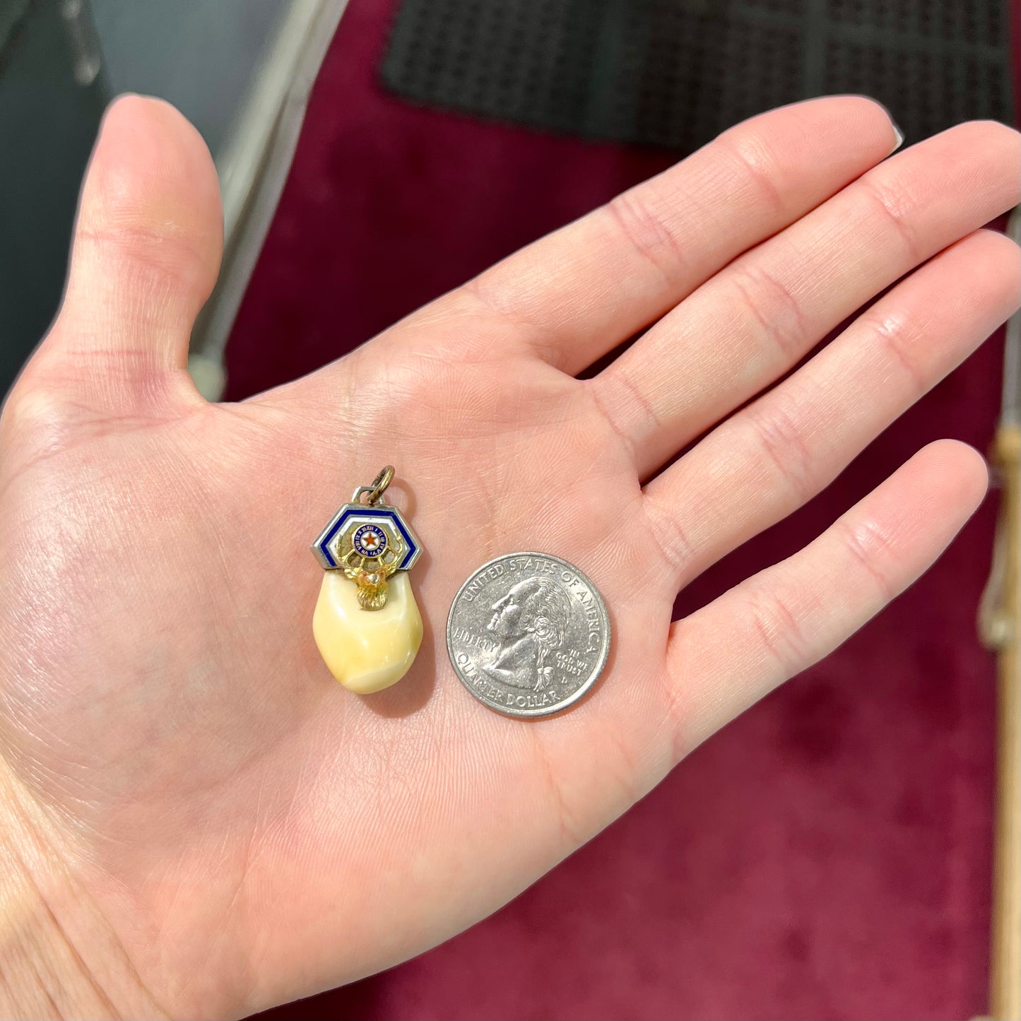 An elk tooth that has been fashioned into a blue enameled gold pendant. There is a decorative elk head cast in yellow gold set on the piece.