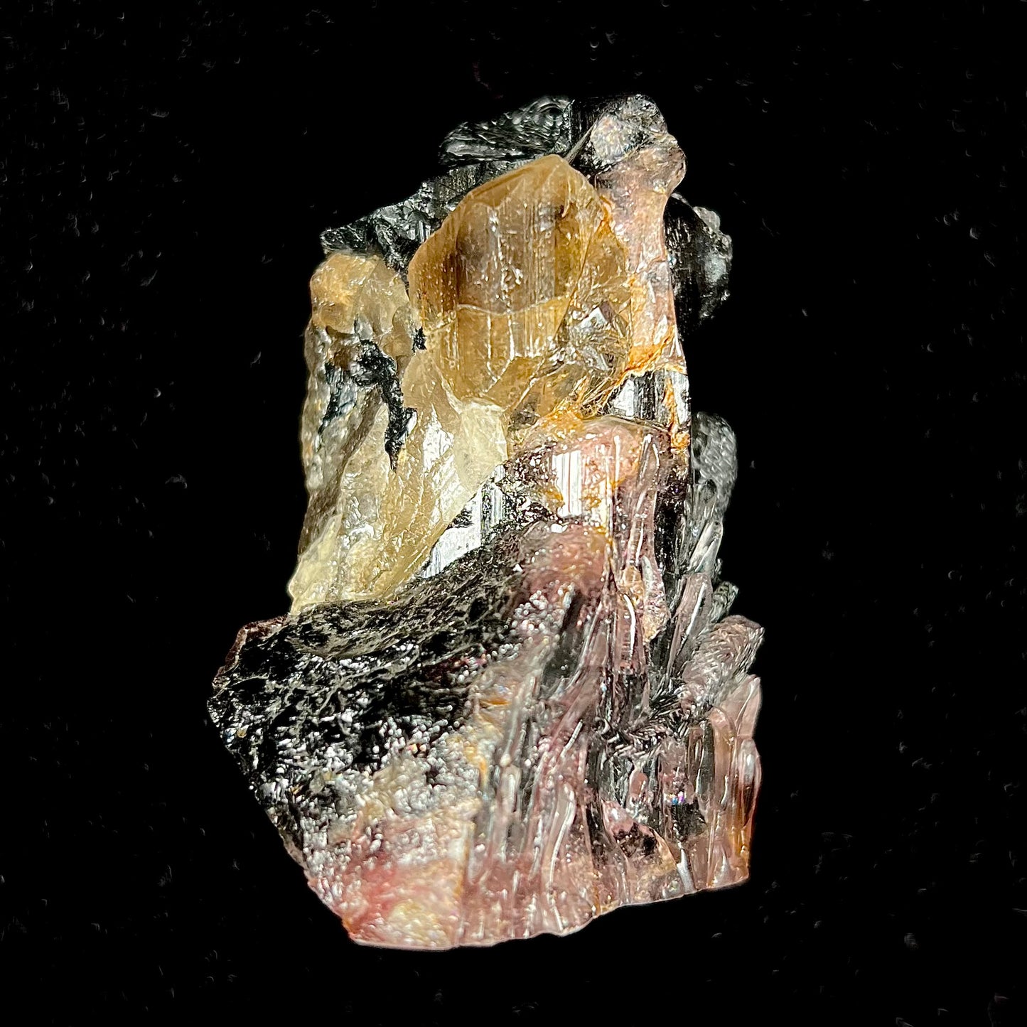 A stone lizard carved by artist, Ronald Stevens, from a liddicoatite tourmaline crystal.