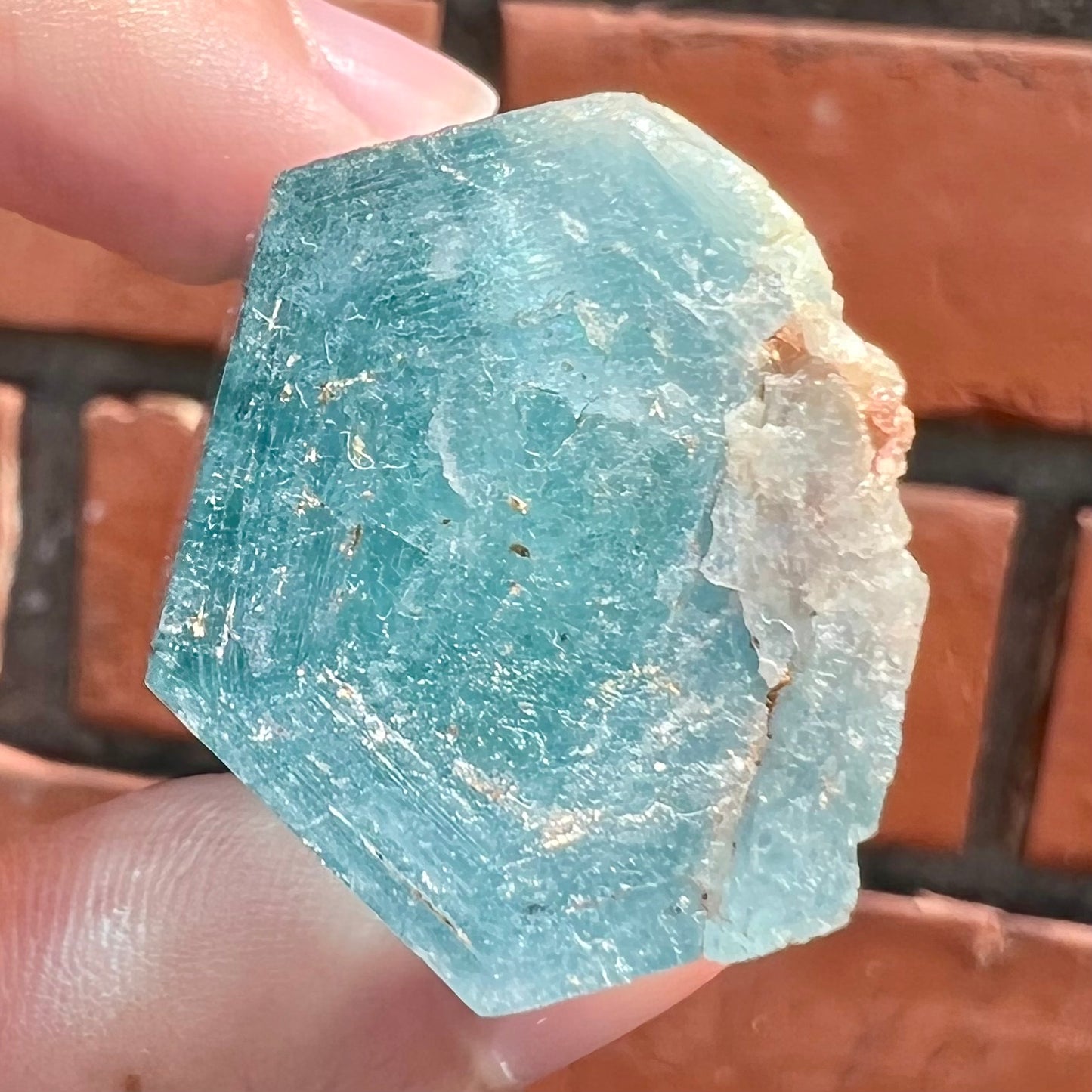 A six sided, natural blue aquamarine crystal from Vietnam.