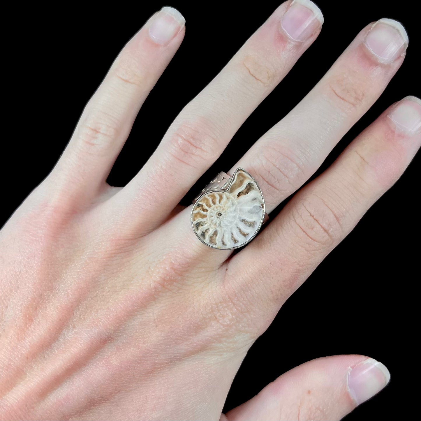 A unisex sterling silver ring bezel set with an ammonite shell fossil.