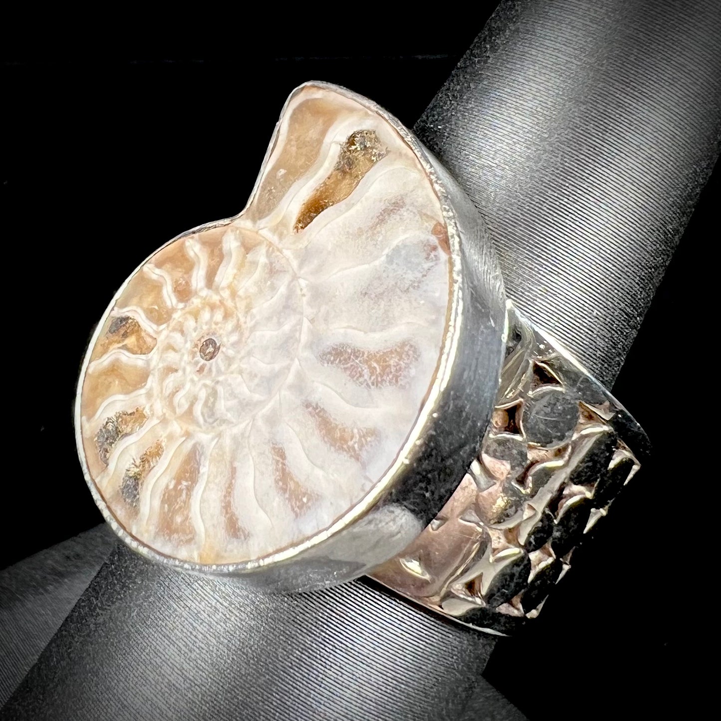 A unisex sterling silver ring bezel set with an ammonite shell fossil.