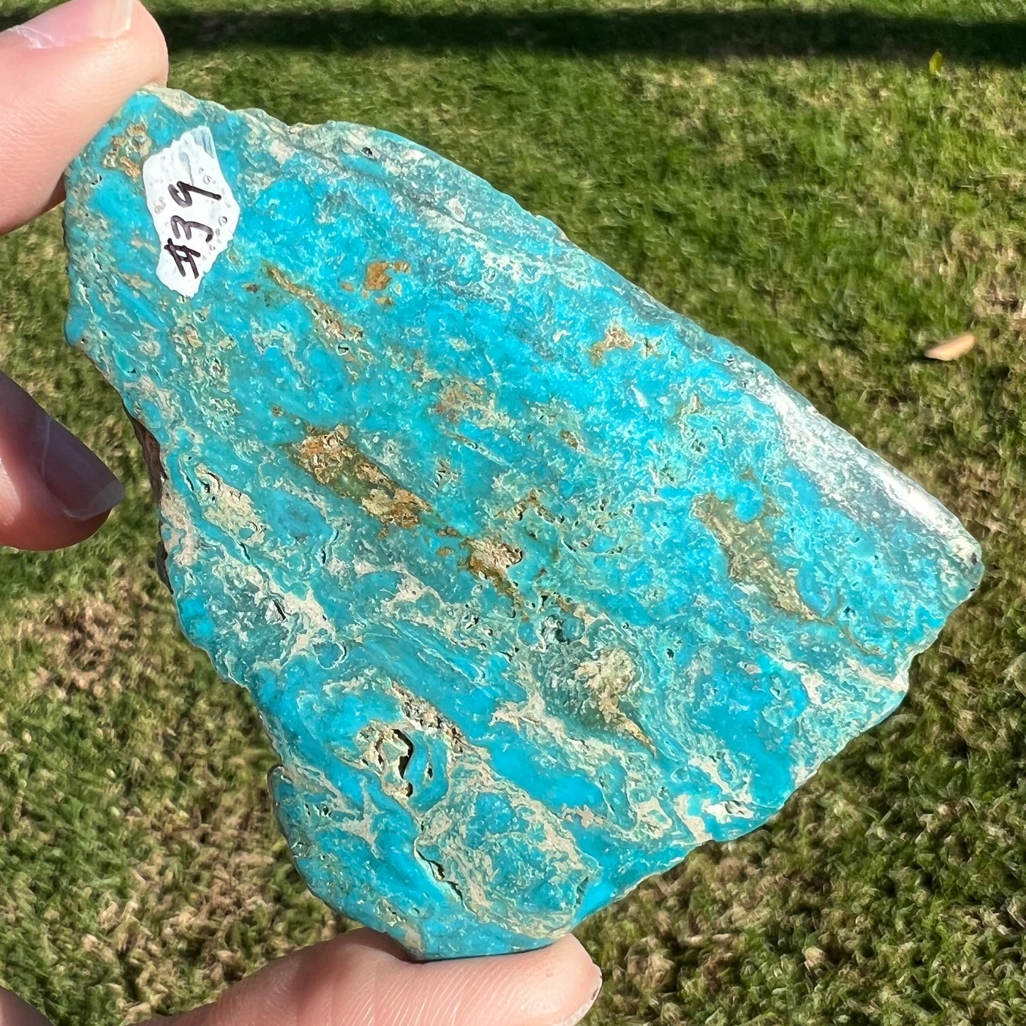 A loose semi-polished rough Sleeping Beauty turquoise stone.