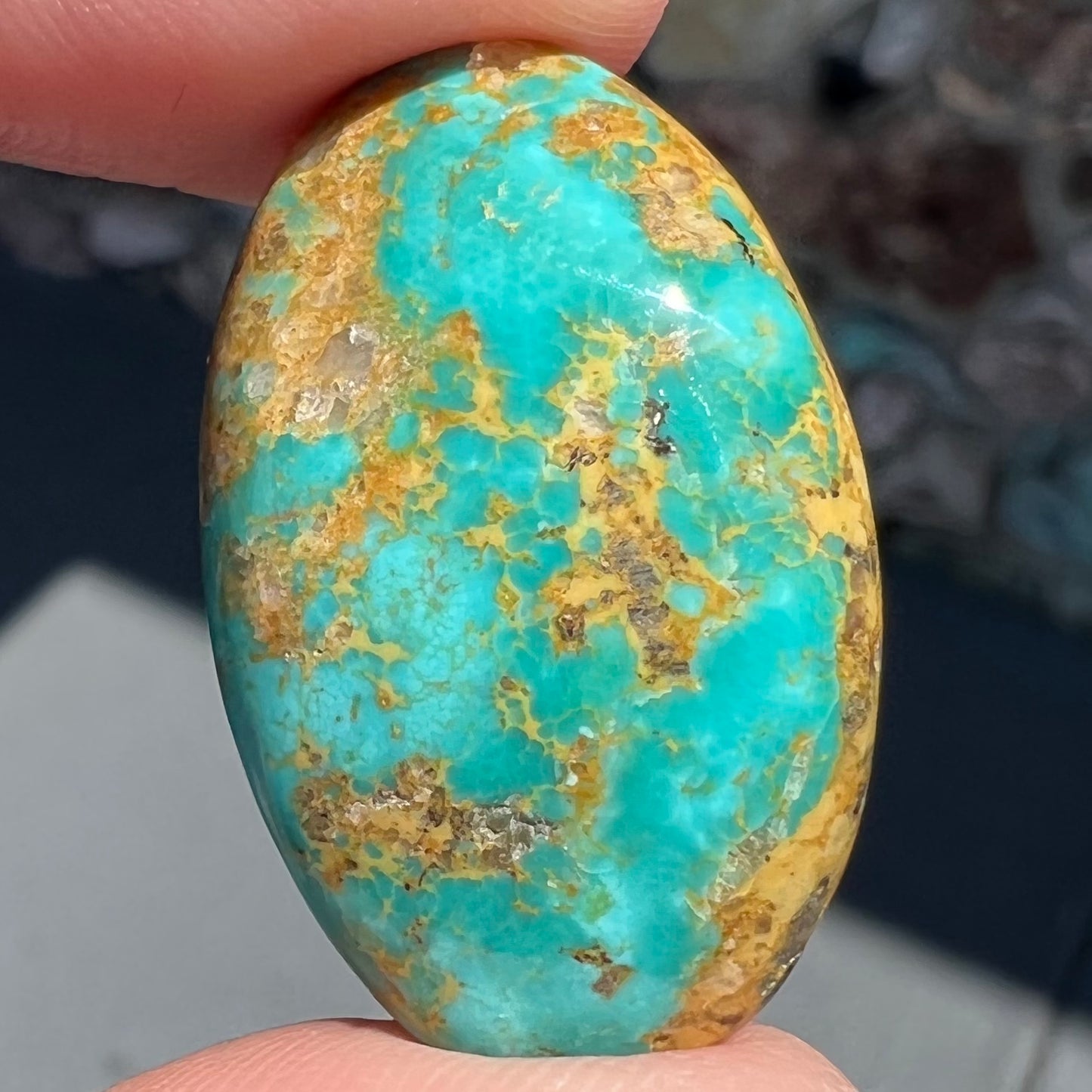 An oval cabochon cut turquoise stone from Manassa, Colorado.