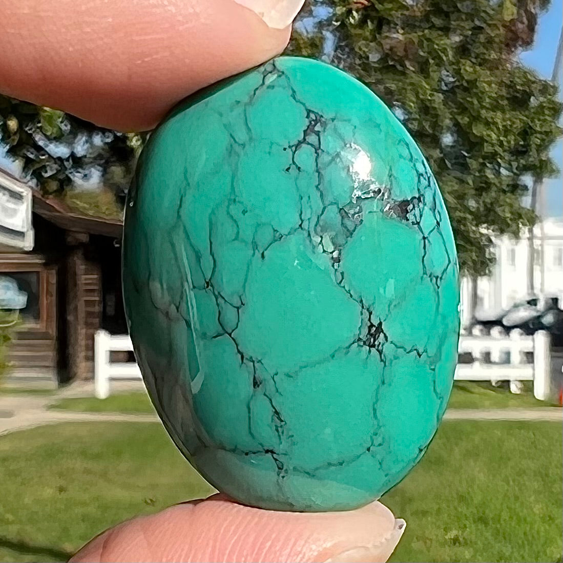 Turquoise #274 | Tyrone