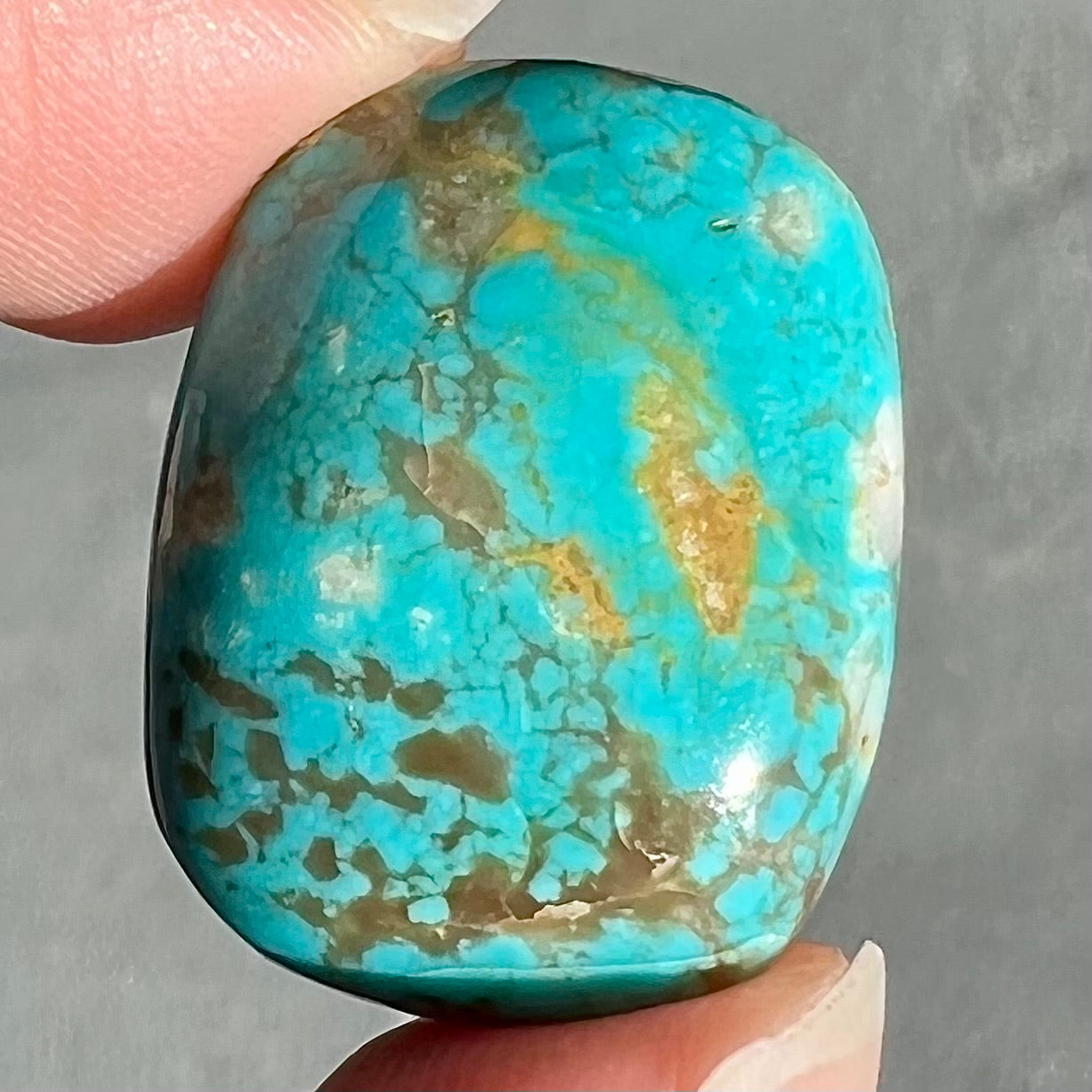 Turquoise #199 | Pilot Mountain Turquoise