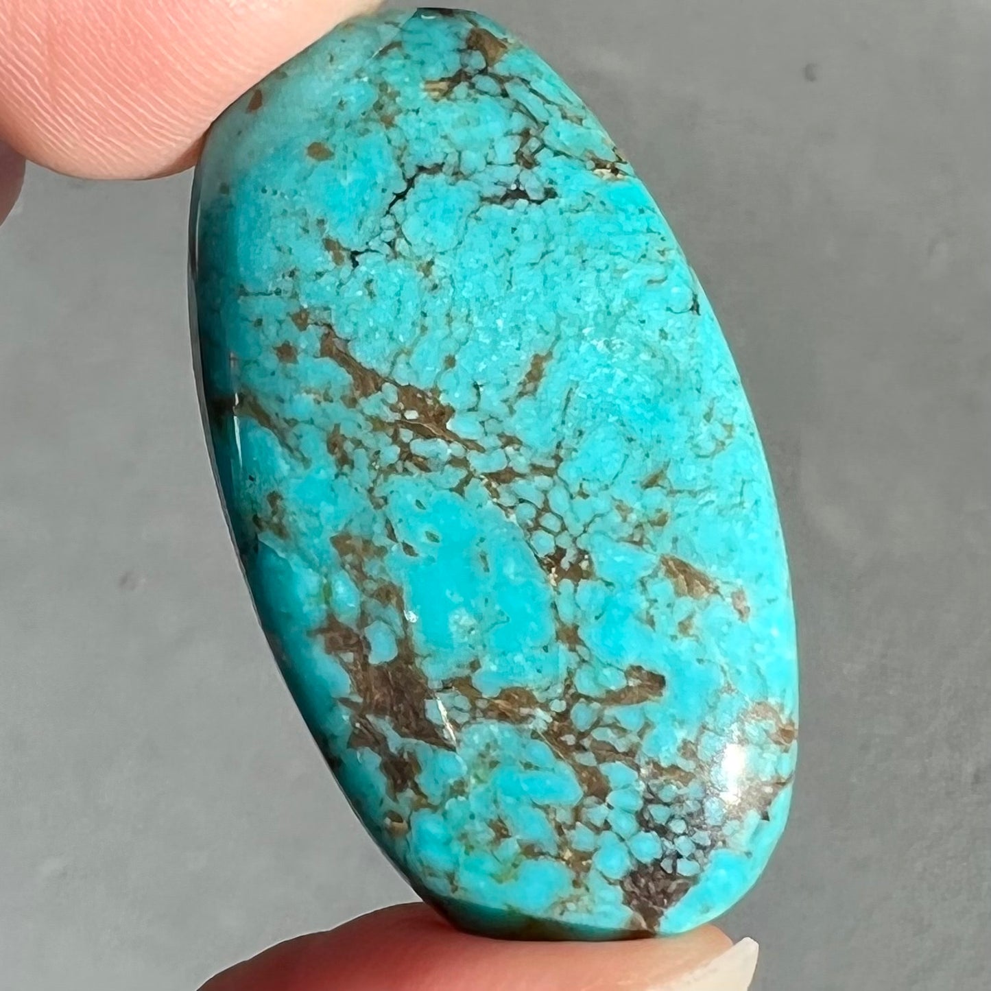 Turquoise #90 | Tyrone