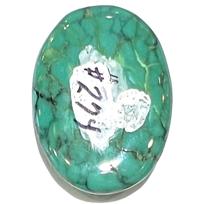 Turquoise #274 | Tyrone