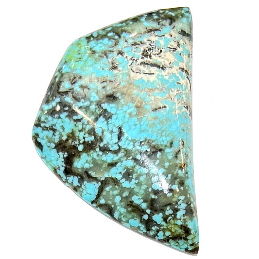 Freeform cabochon cut Valley Blue turquoise from Lander County, Nevada.