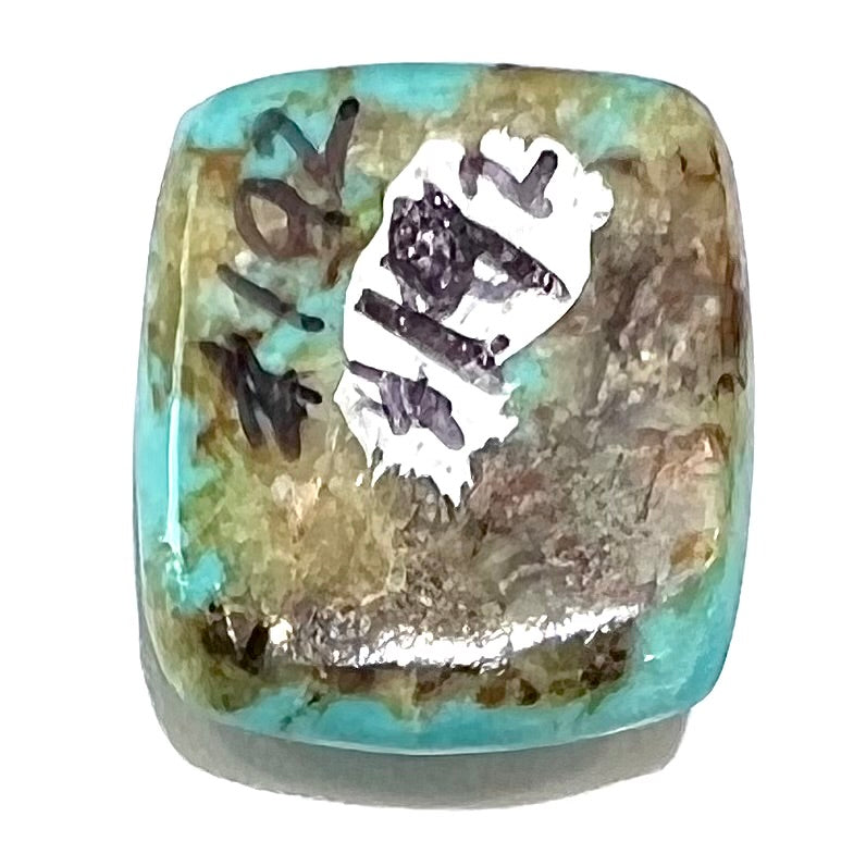 Turquoise #192 | Sleeping Beauty