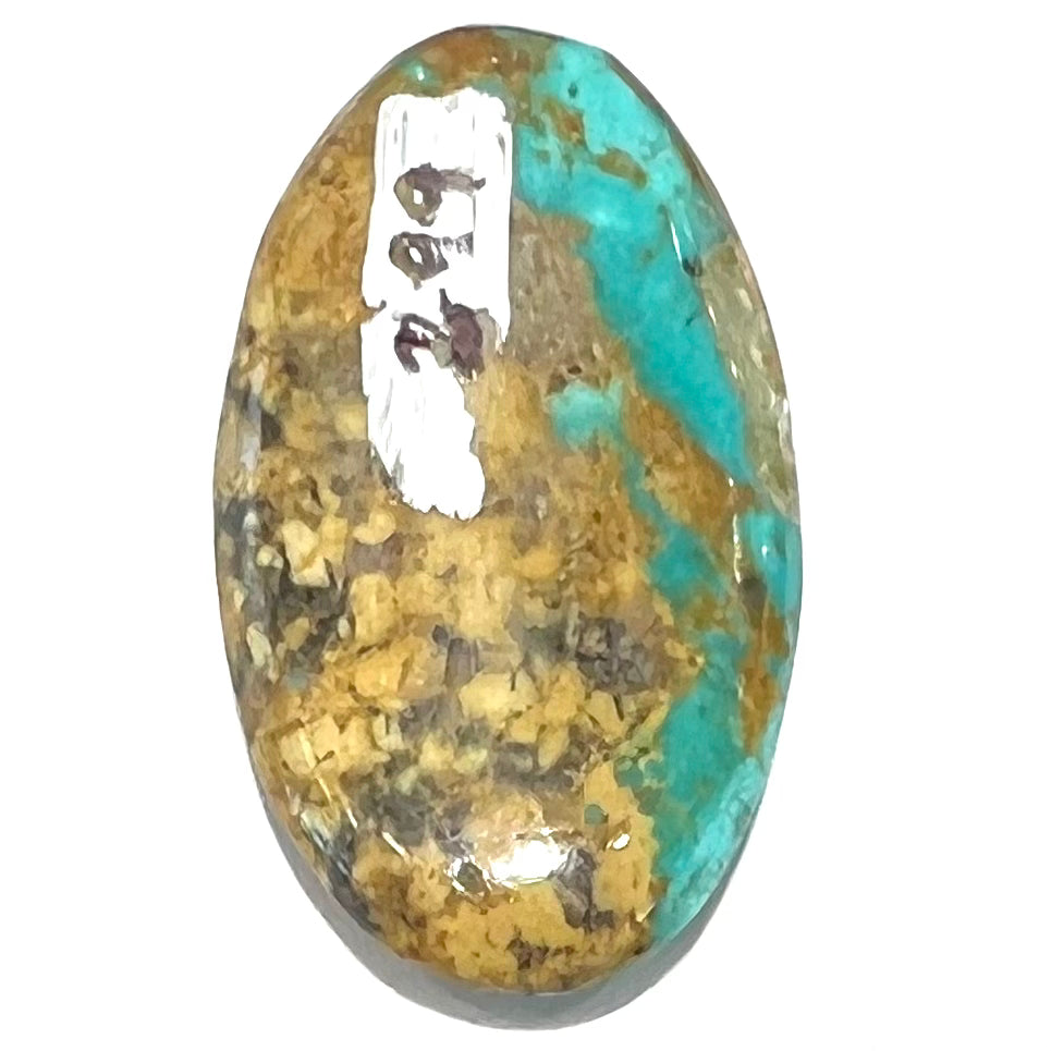 An oval cabochon cut turquoise stone from Manassa, Colorado.
