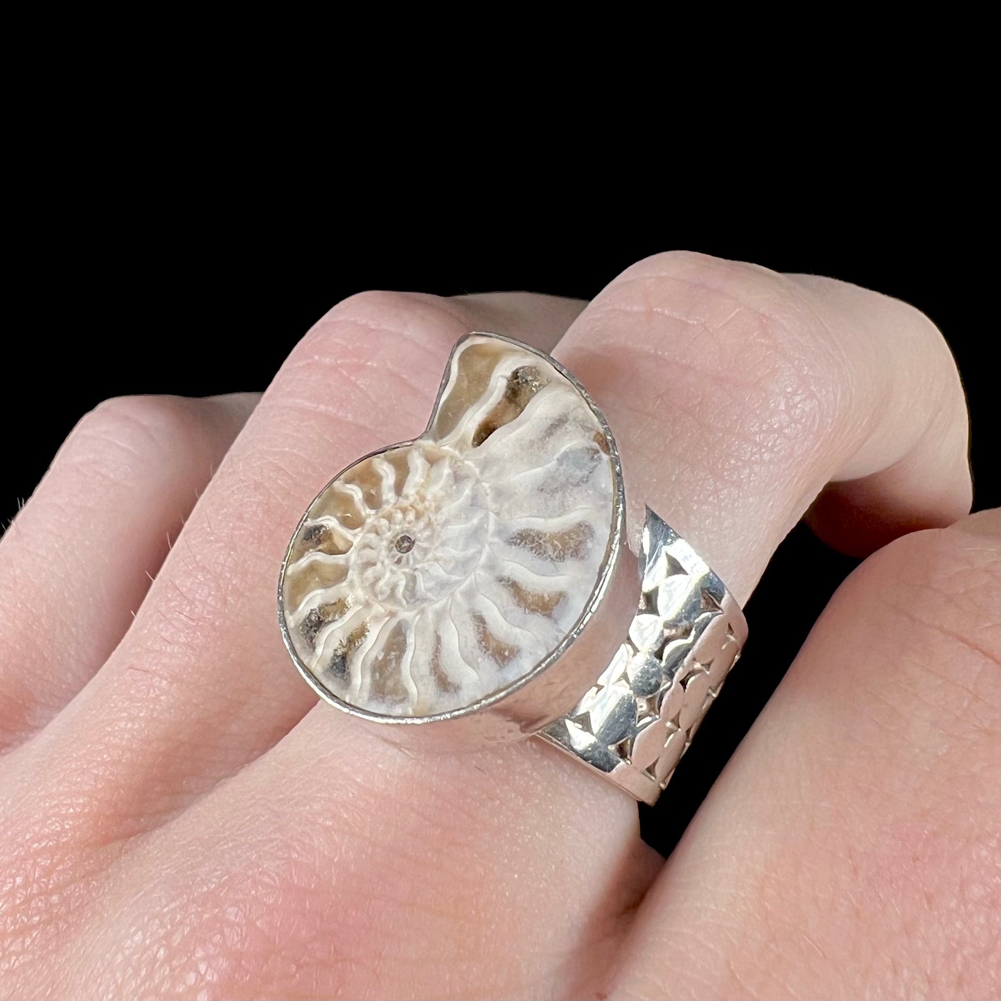 A unisex sterling silver ring bezel set with an ammonite shell fossil.