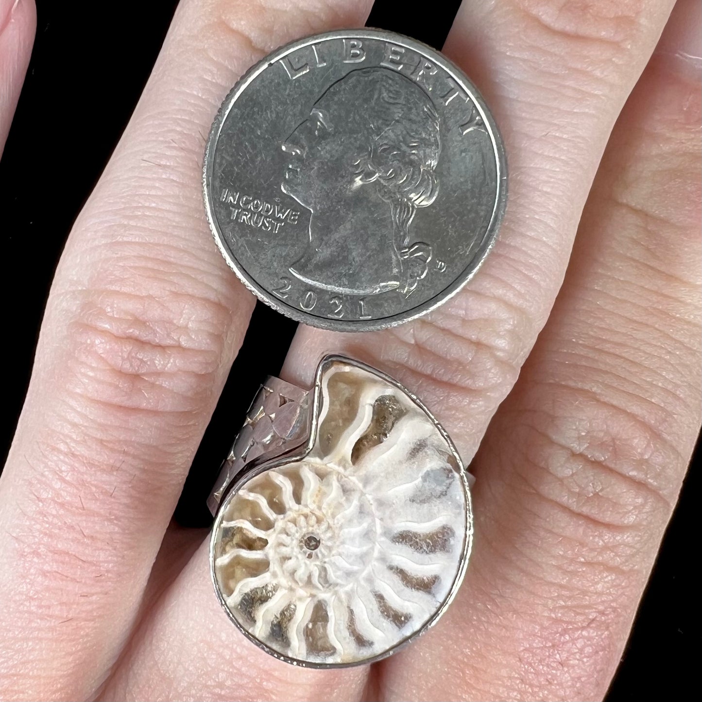 A unisex sterling silver ring bezel set with an ammonite shell fossil.