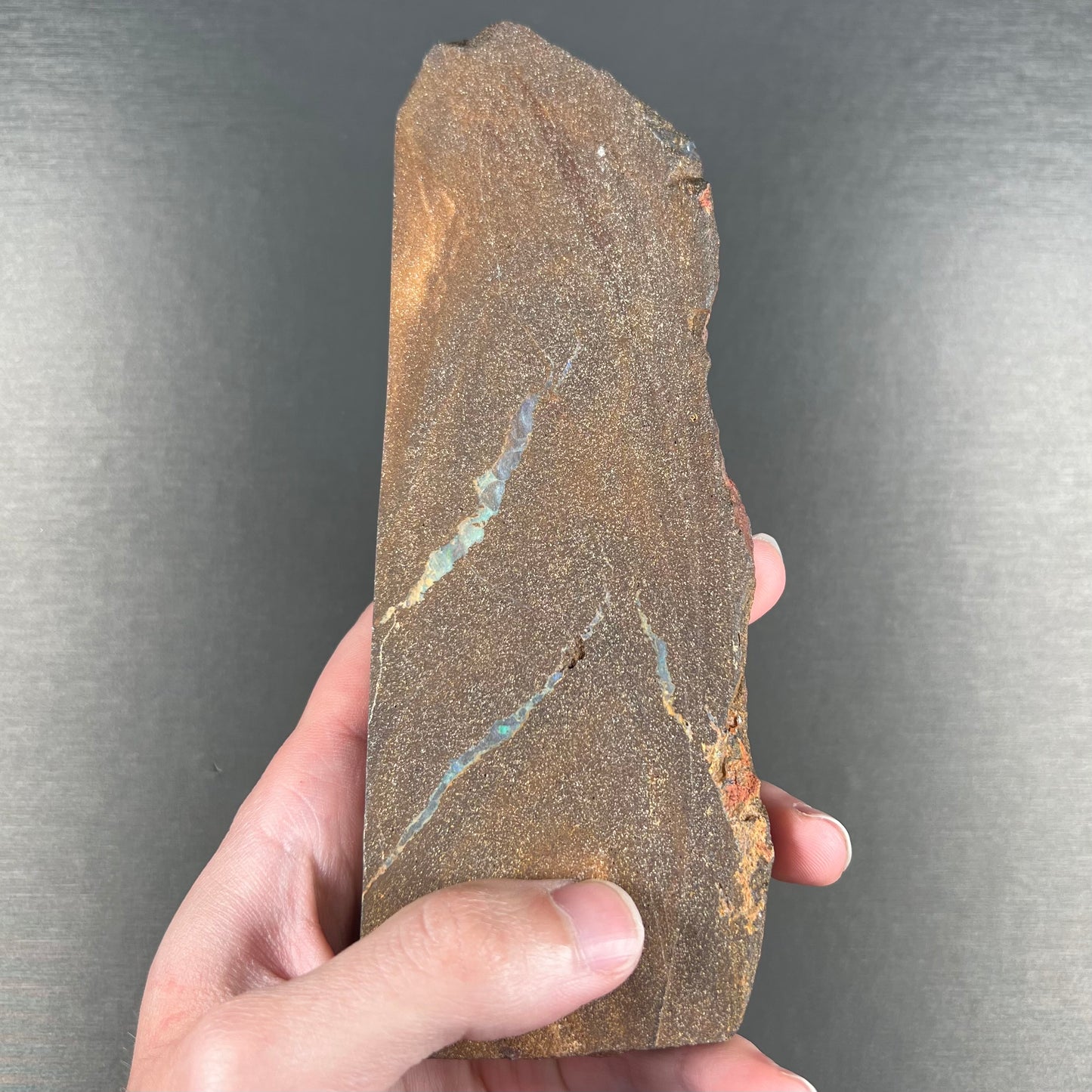 A 7 inch long, polished Quilpie boulder opal specimen. The stone shows colors of blue, green, and orange.