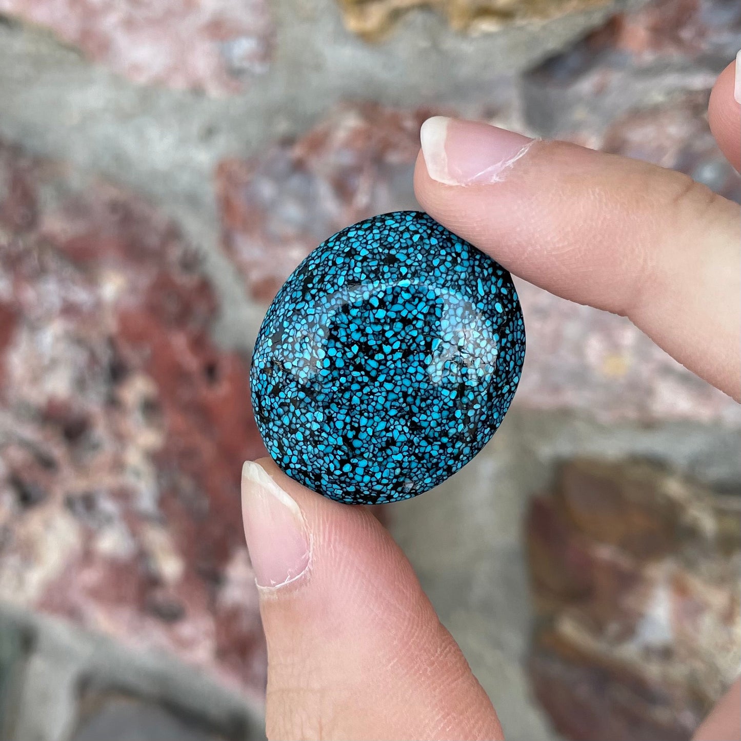 Turquoise #1B | Kingman Black Web
