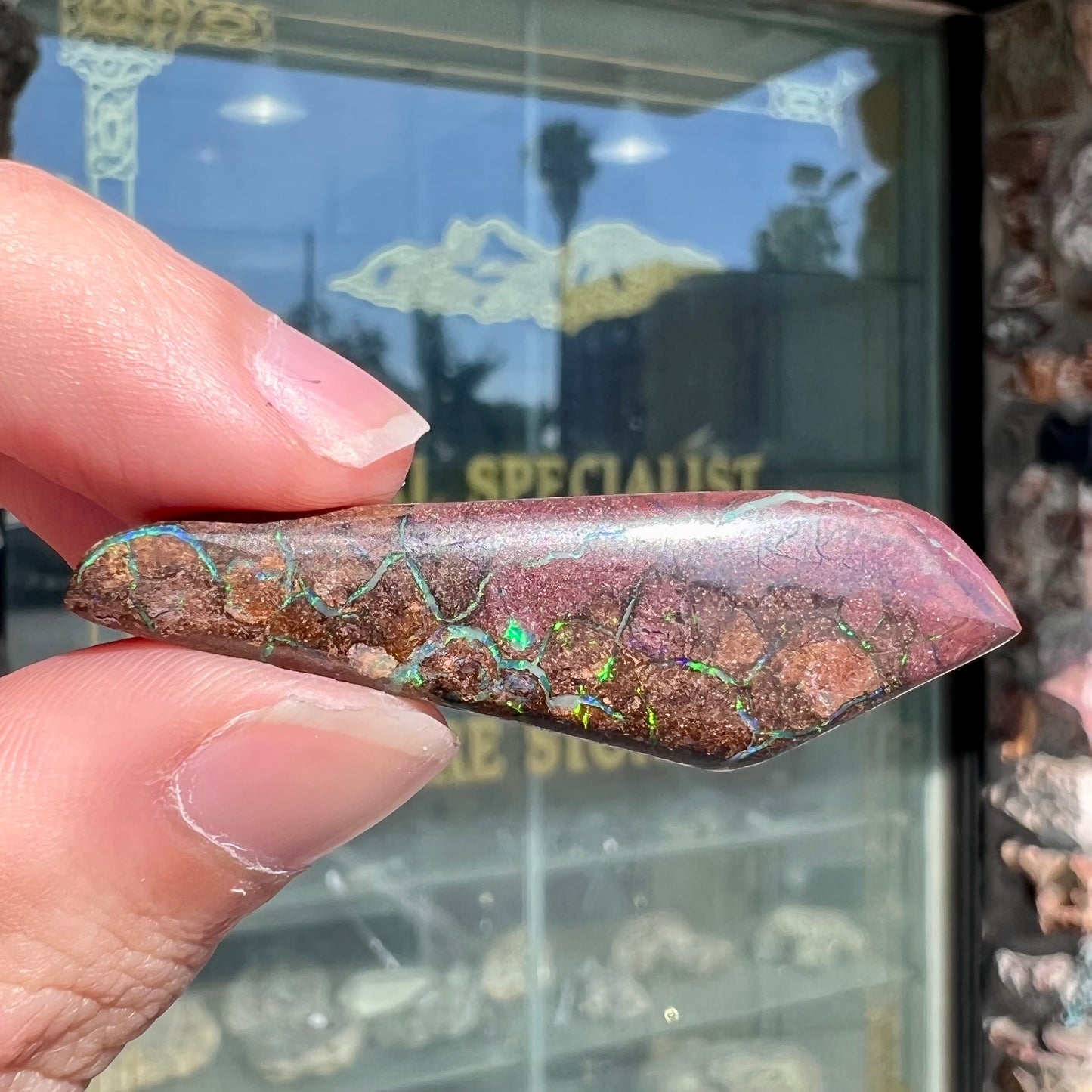 A loose, freeform cabochon cut Koroit boulder opal stone.