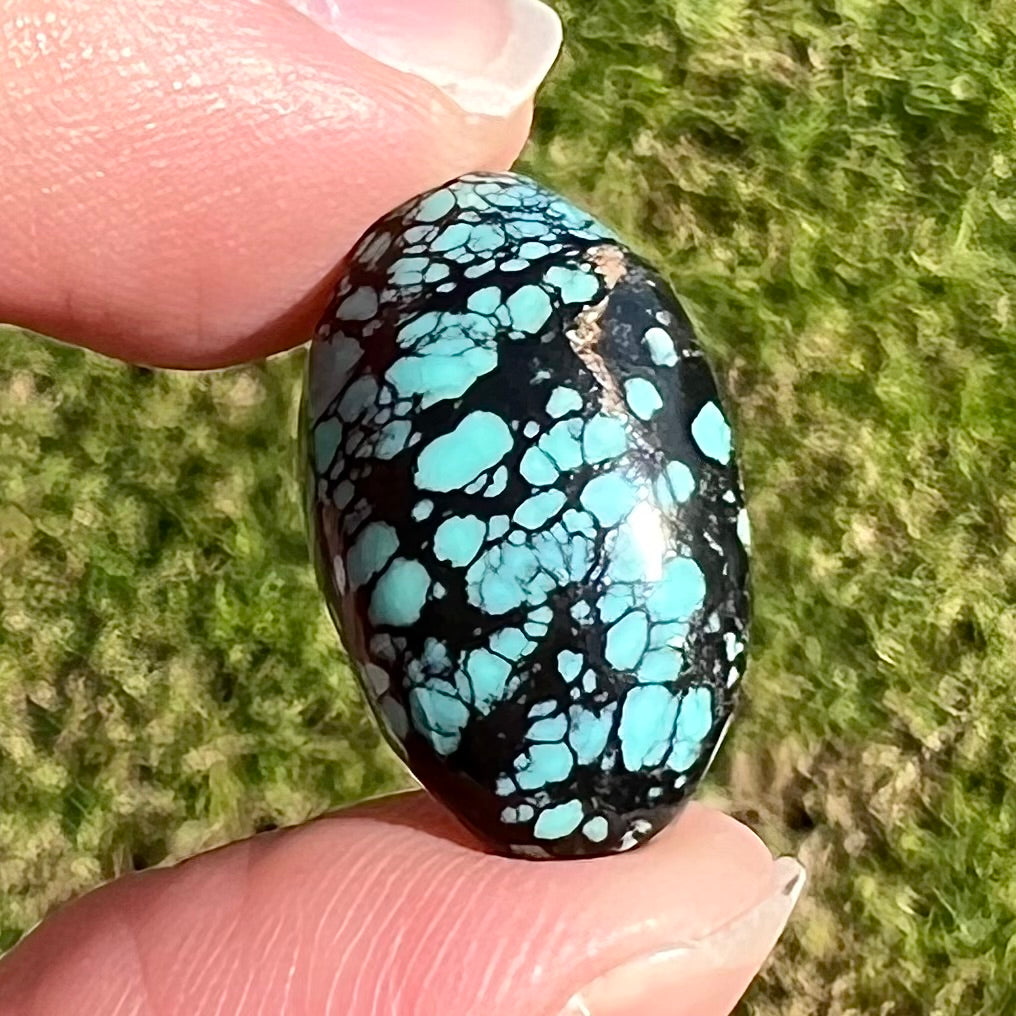 A black spiderweb turquoise stone from Nevada.