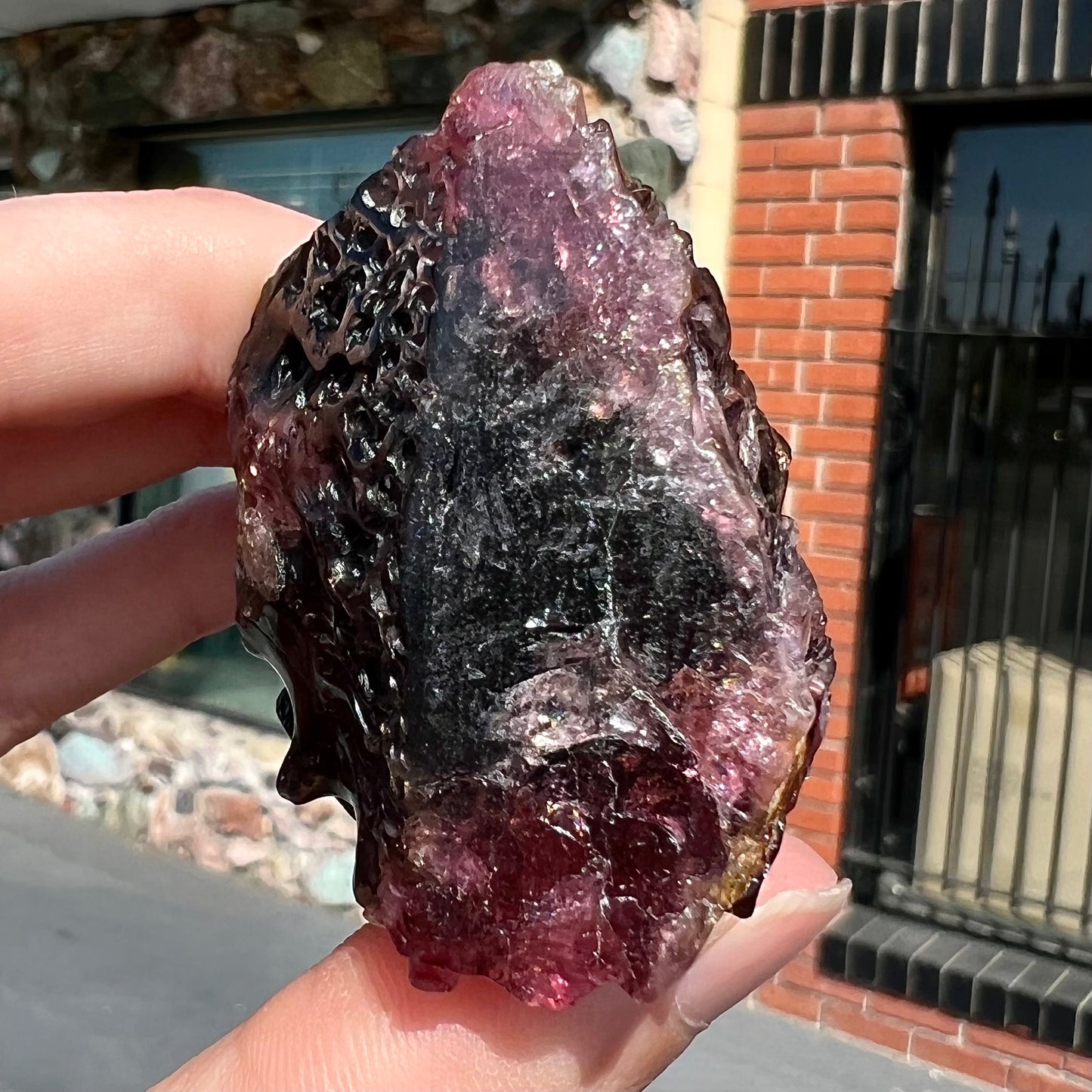 A stone lizard carved by artist, Ronald Stevens, from a liddicoatite tourmaline crystal.