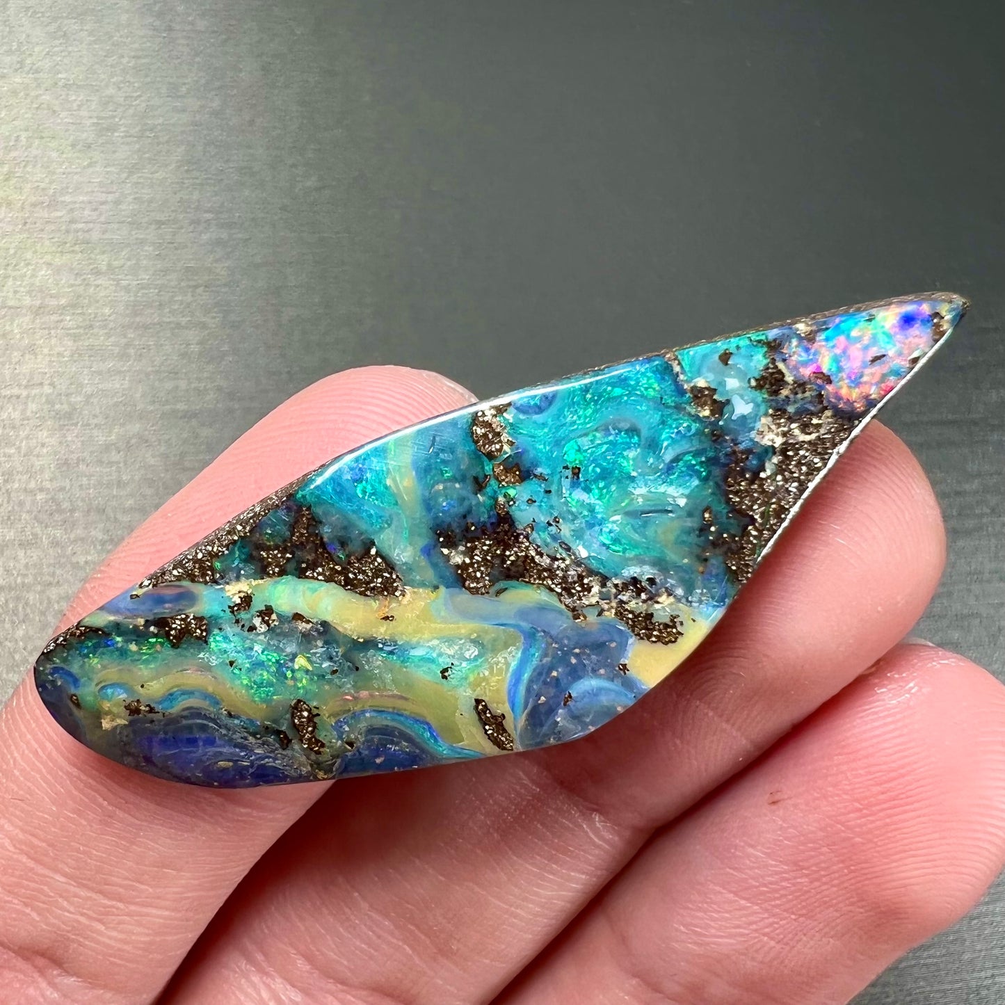 A loose Quilpie boulder opal stone. The stone is blue and has a bright rainbow tip.