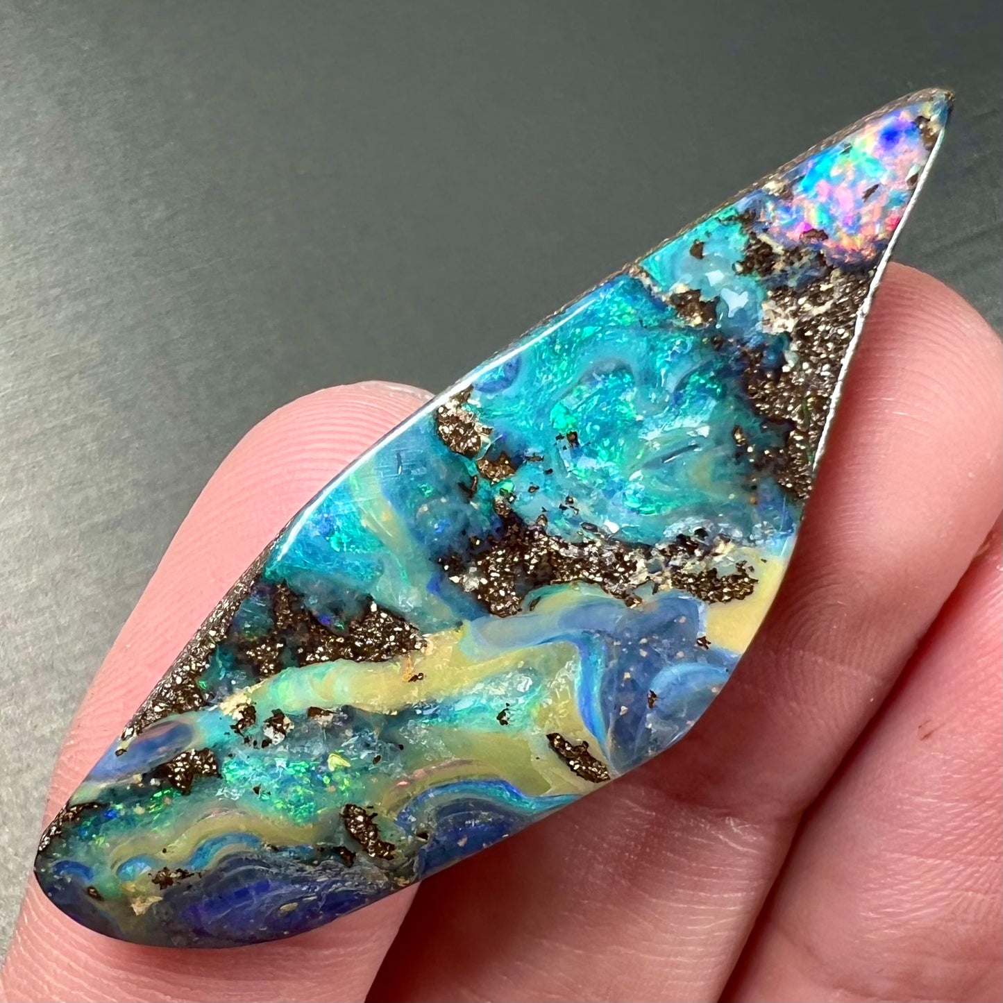 A loose Quilpie boulder opal stone. The stone is blue and has a bright rainbow tip.
