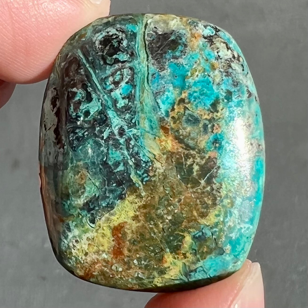 Loose turquoise with chrysocolla cabochon from Mohave County, Arizona.