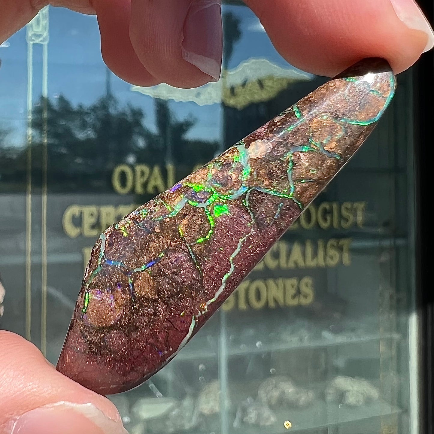 A loose, freeform cabochon cut Koroit boulder opal stone.