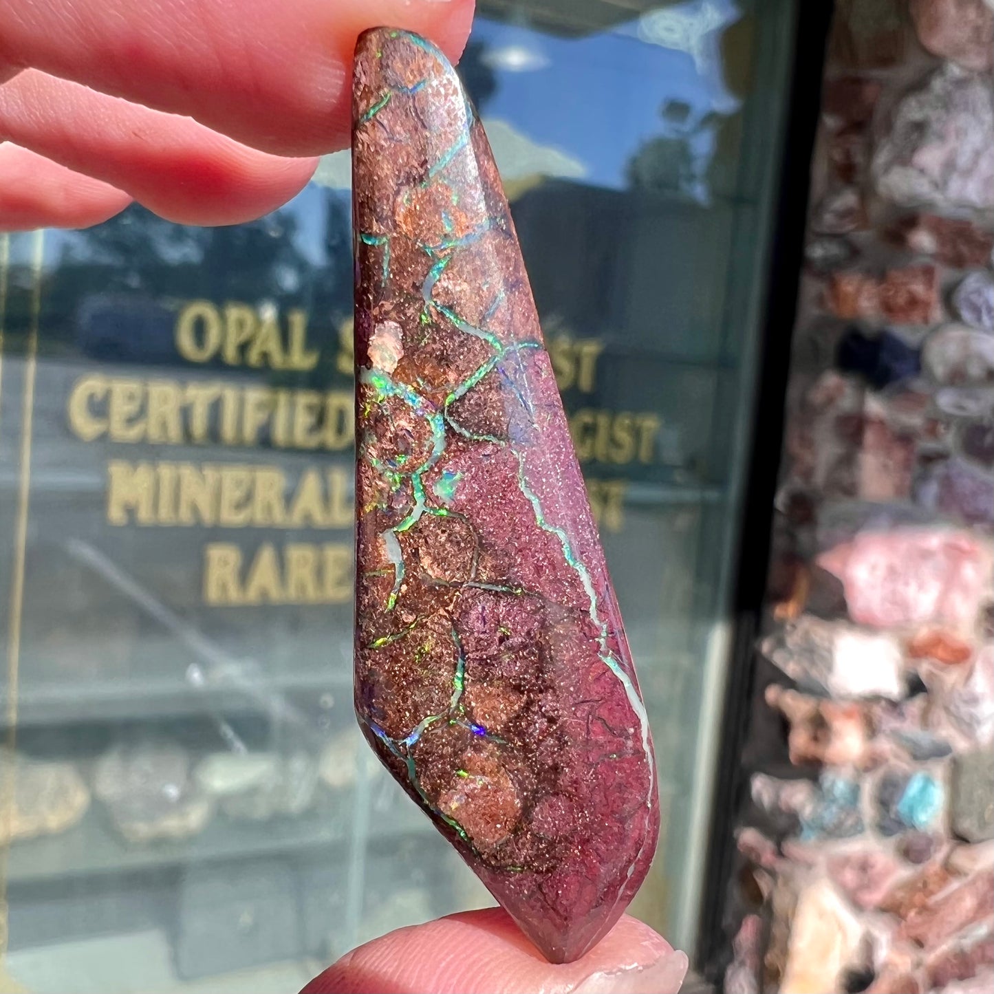 A loose, freeform cabochon cut Koroit boulder opal stone.