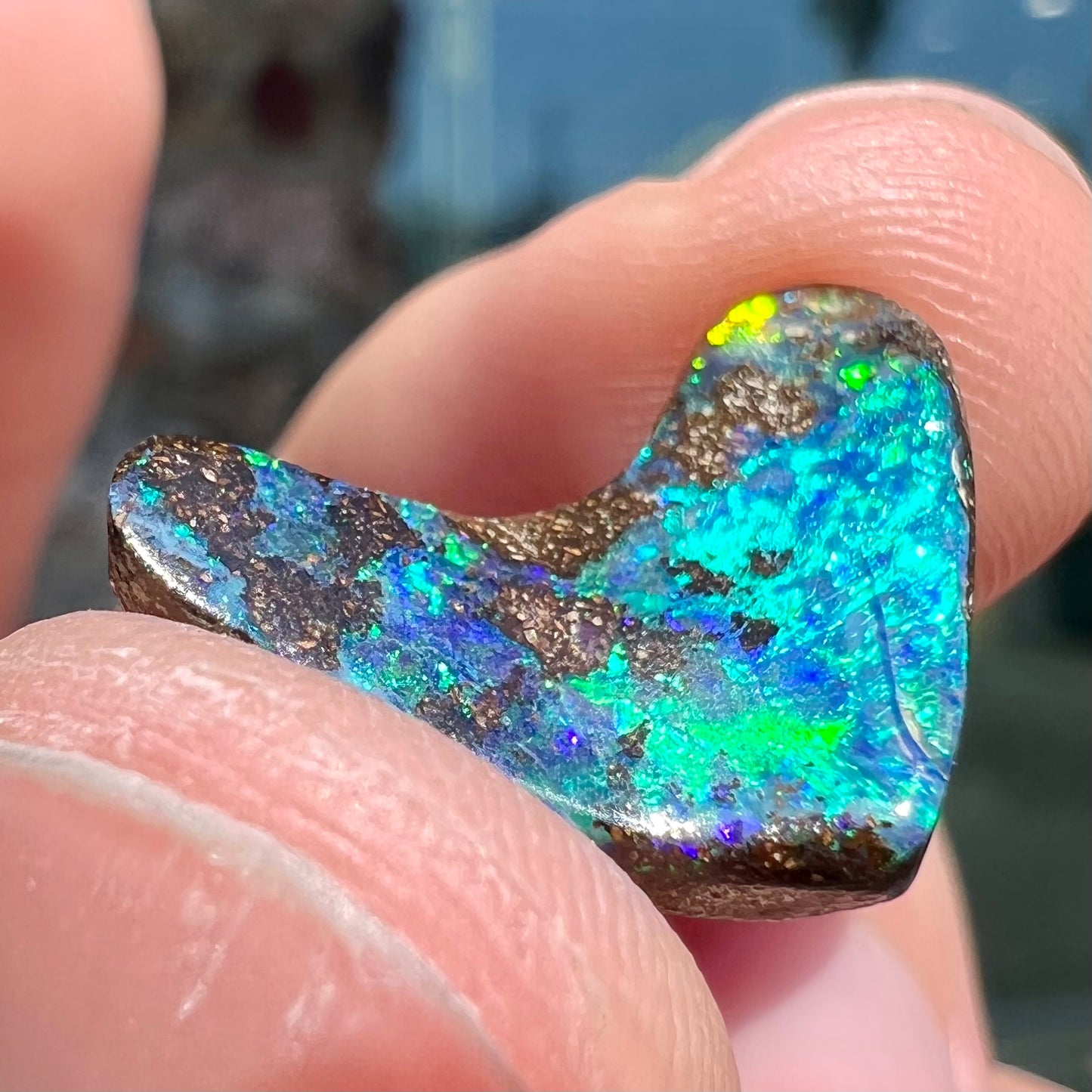 A loose, polished, boomerang shaped boulder opal stone from Queensland, Australia.