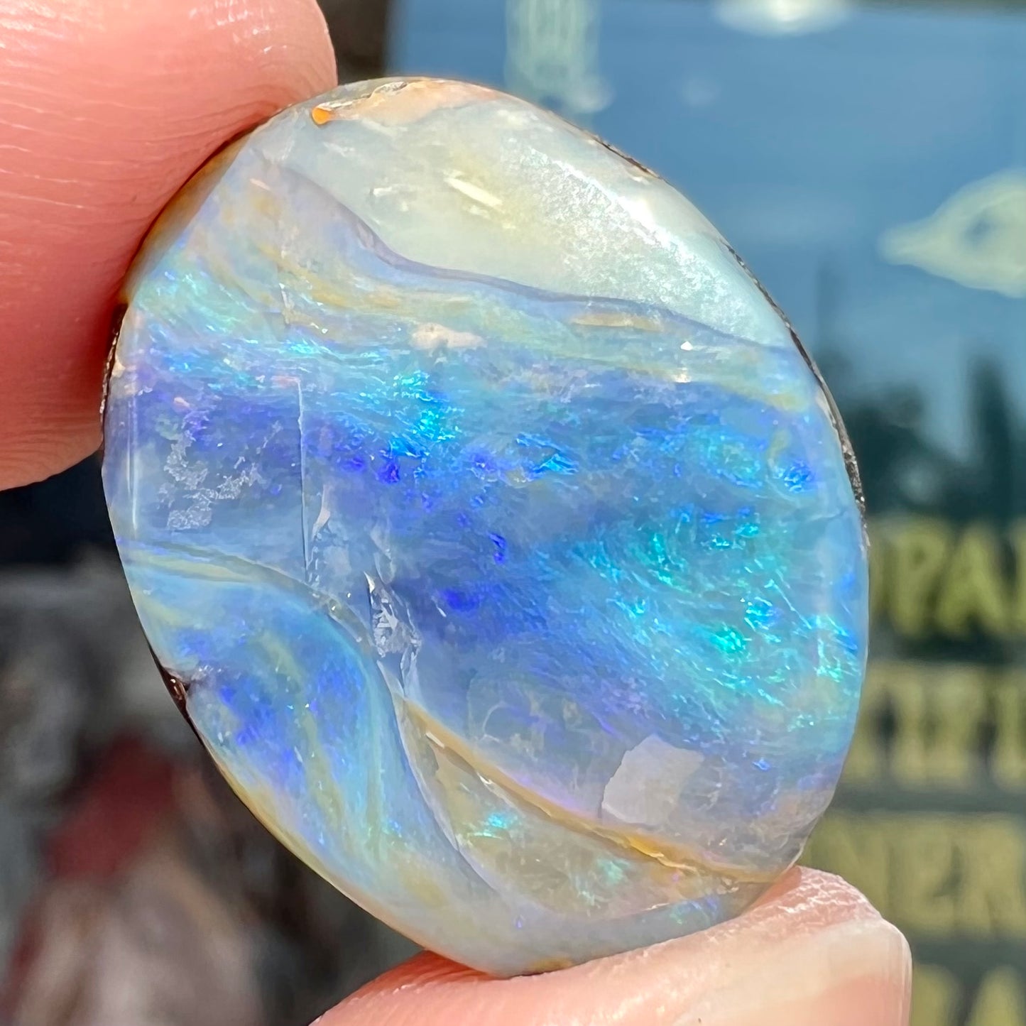 A loose, oval cabochon cut Australian boulder opal stone.